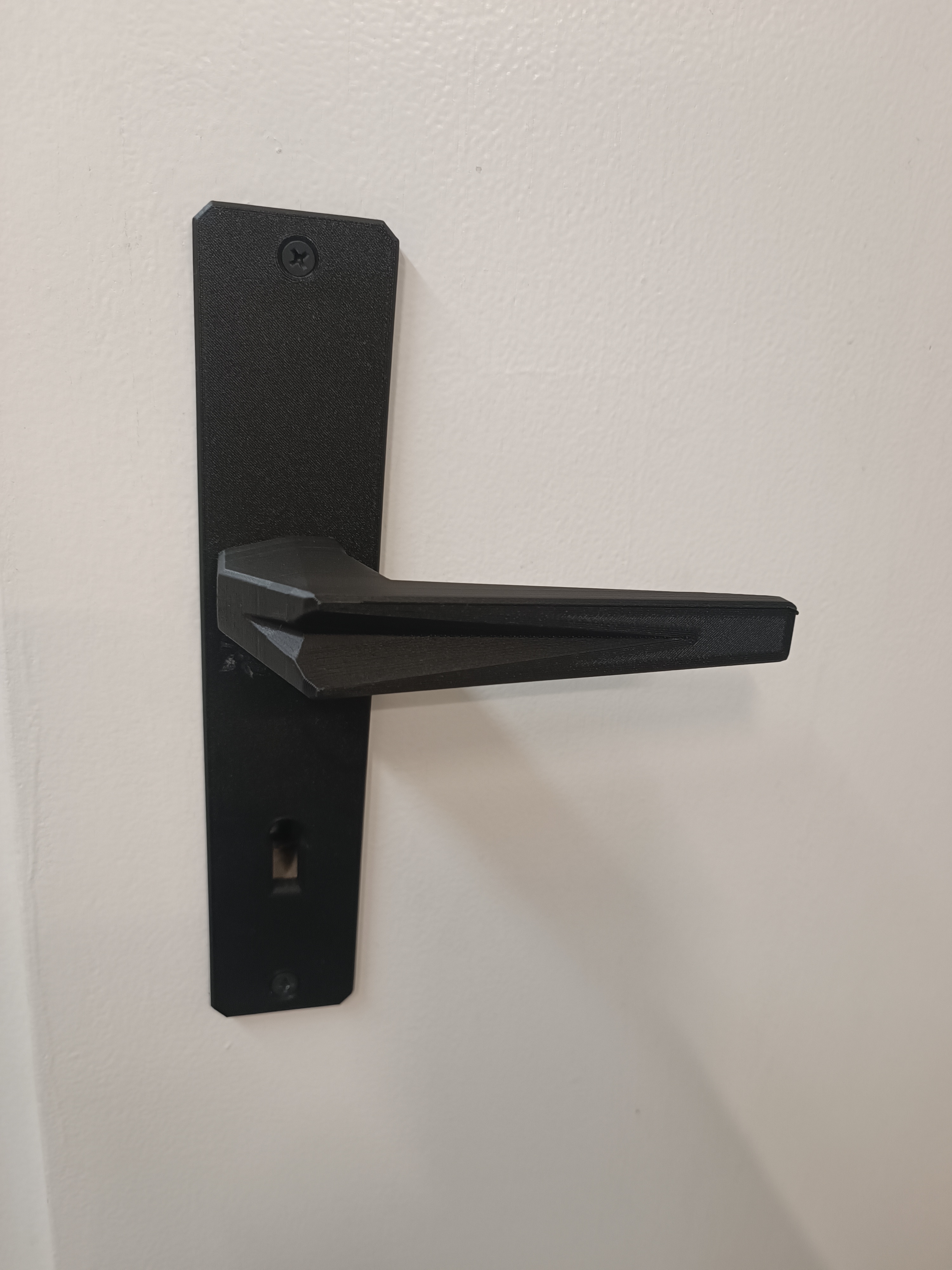 Door handle and door plate