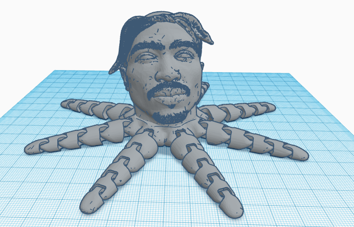 2pactopus