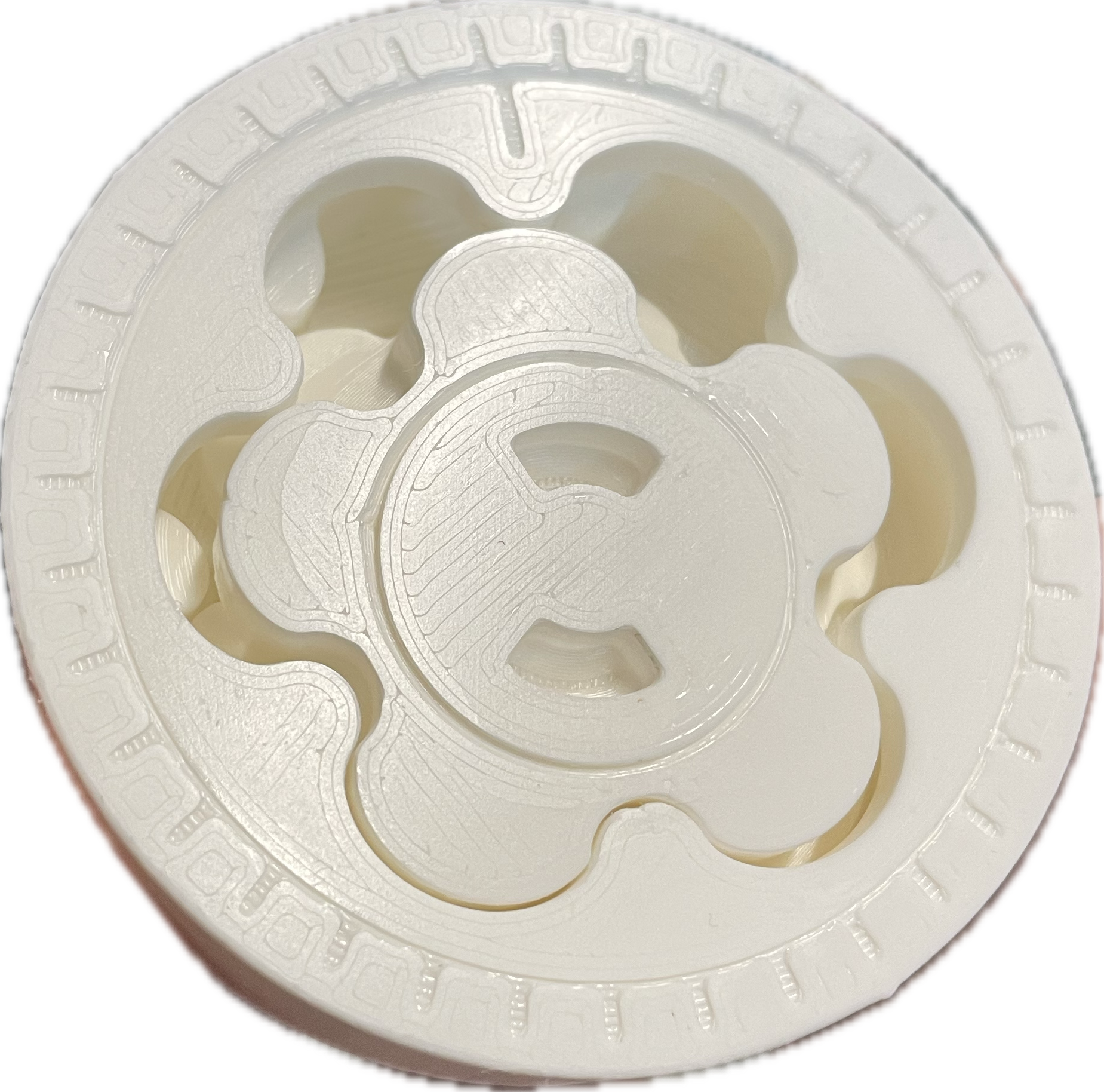 PiP Two Stage Cycloidal Drive