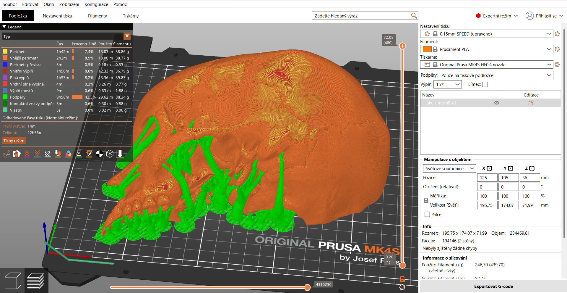 Human skull and jaw, anatomically correct - verticall cut