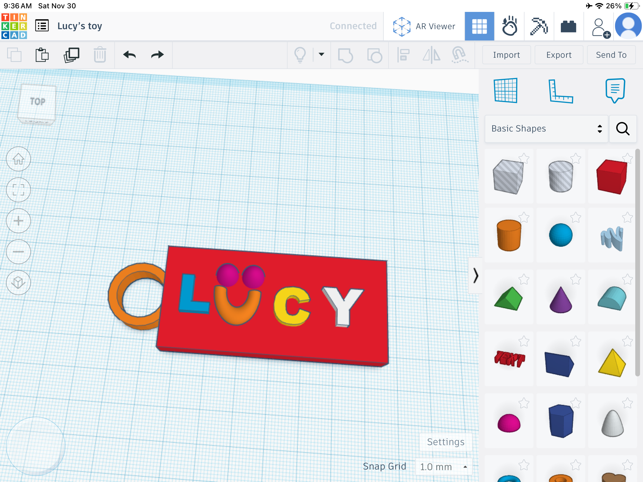 Cat name tag