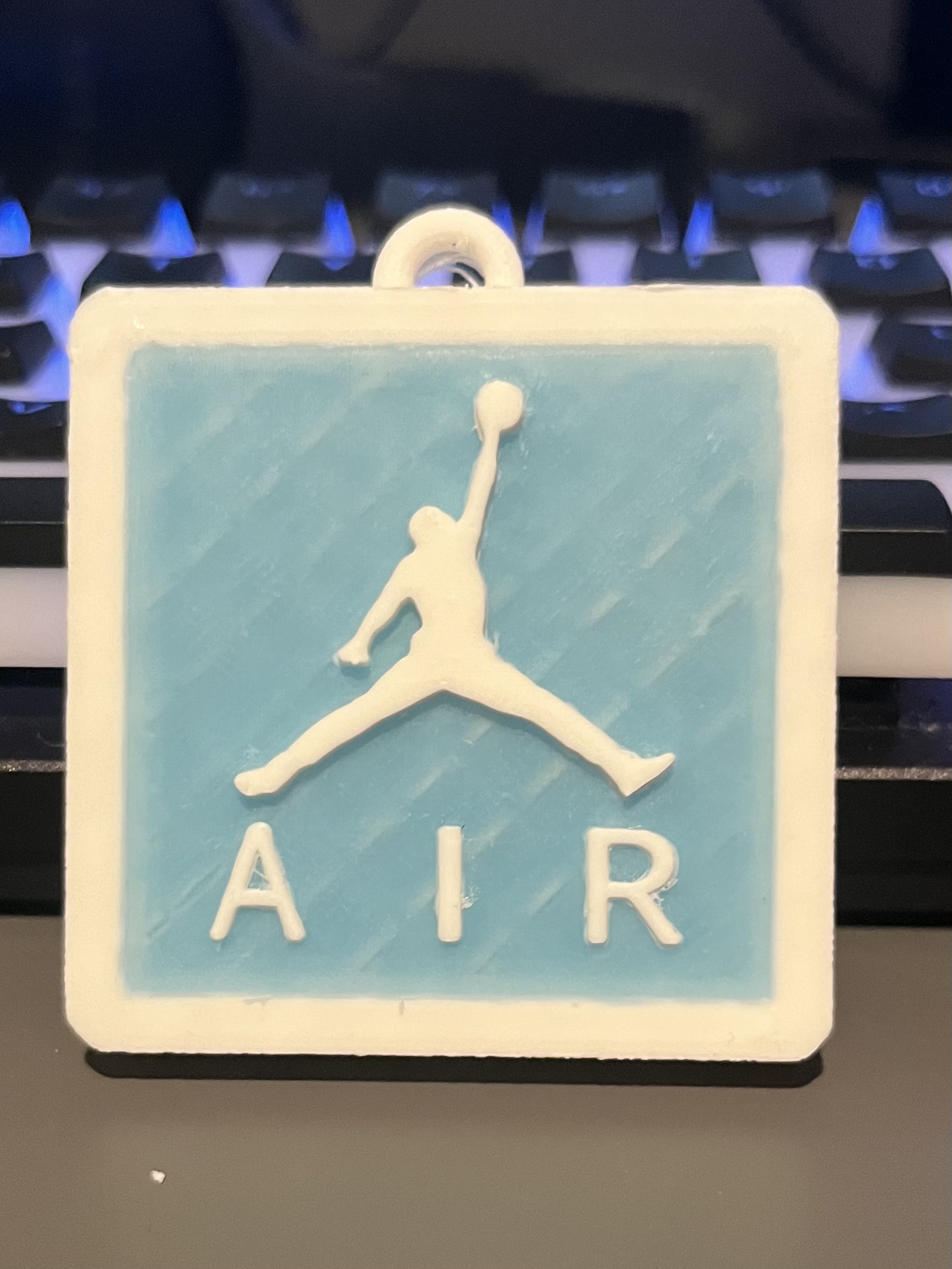 Air Jordan Hang Tag