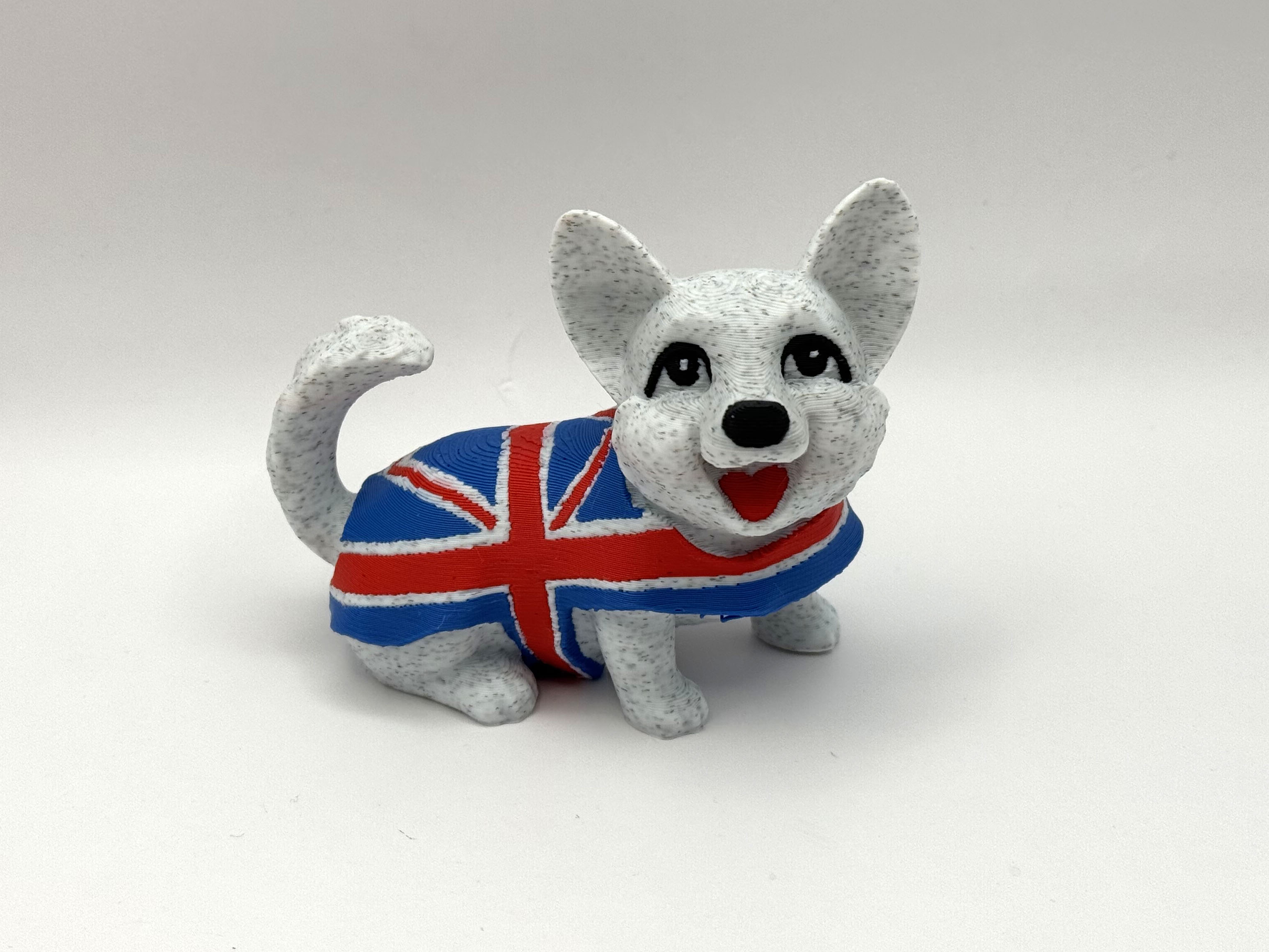 Royal Corgi