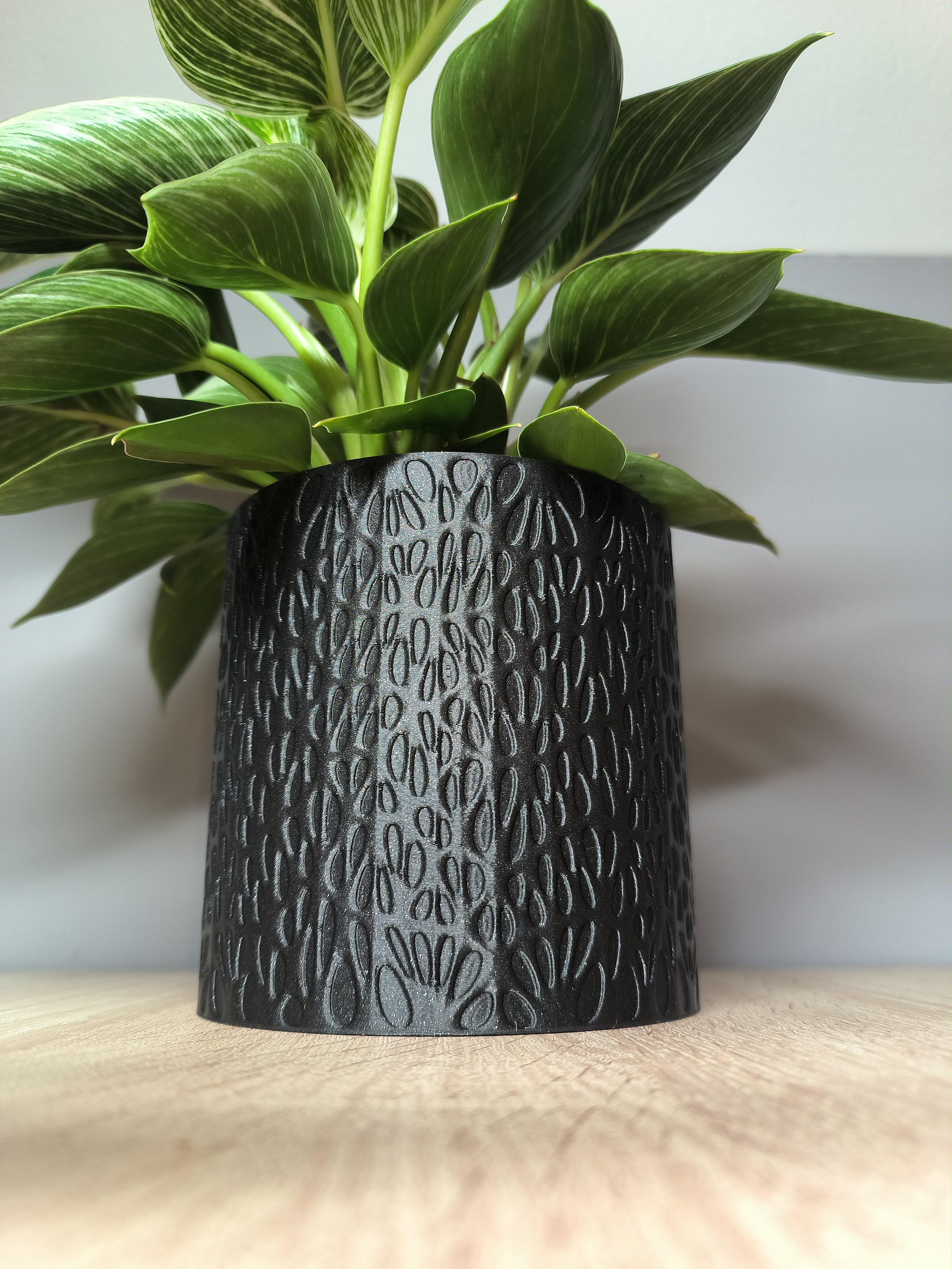 Voronoi Planter
