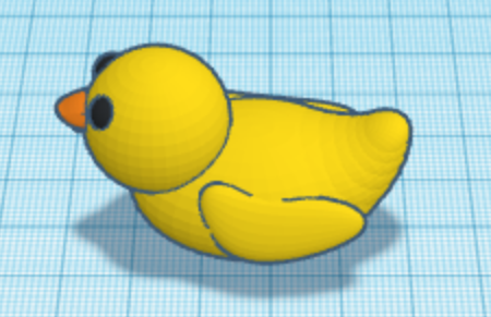 duck
