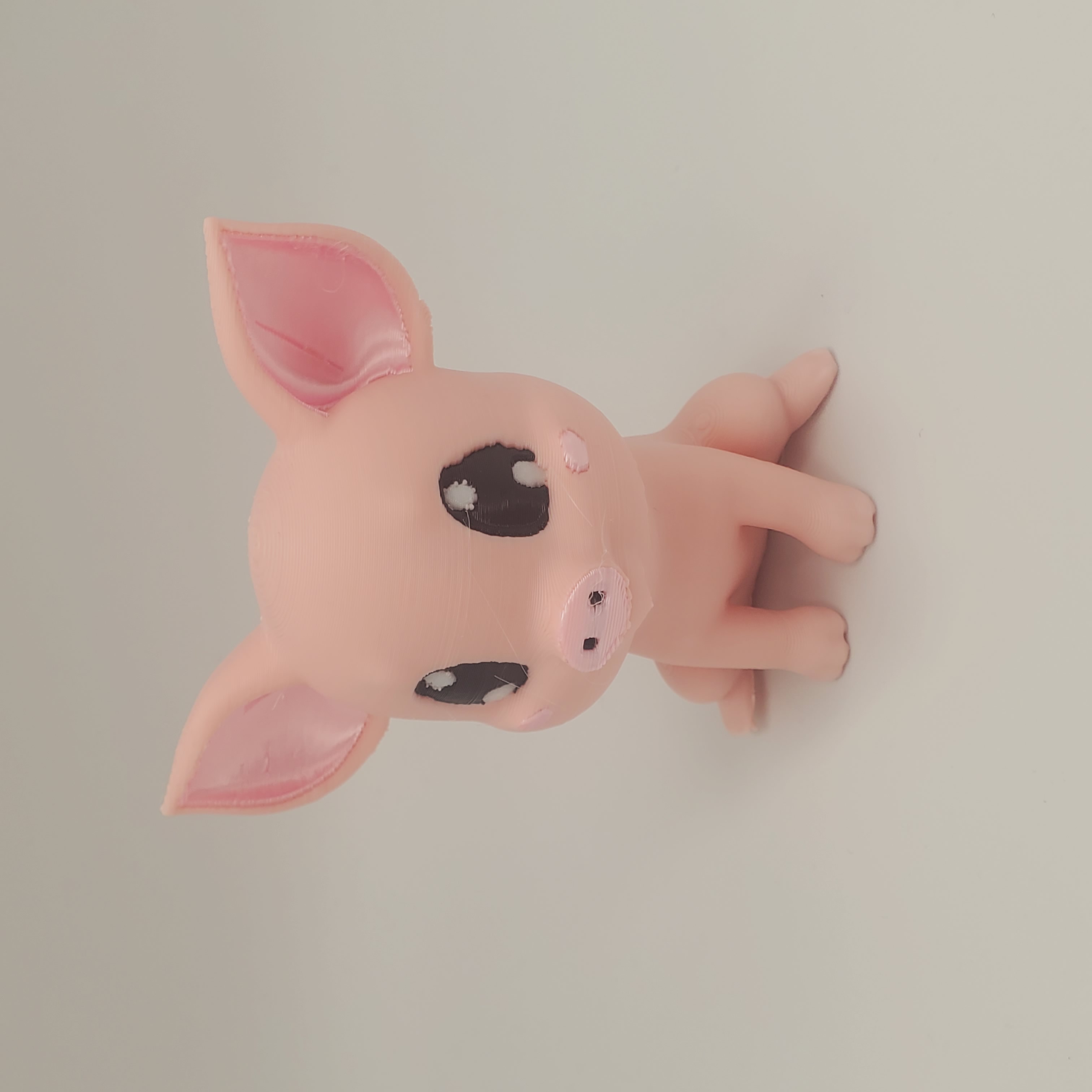 Cute Piggy