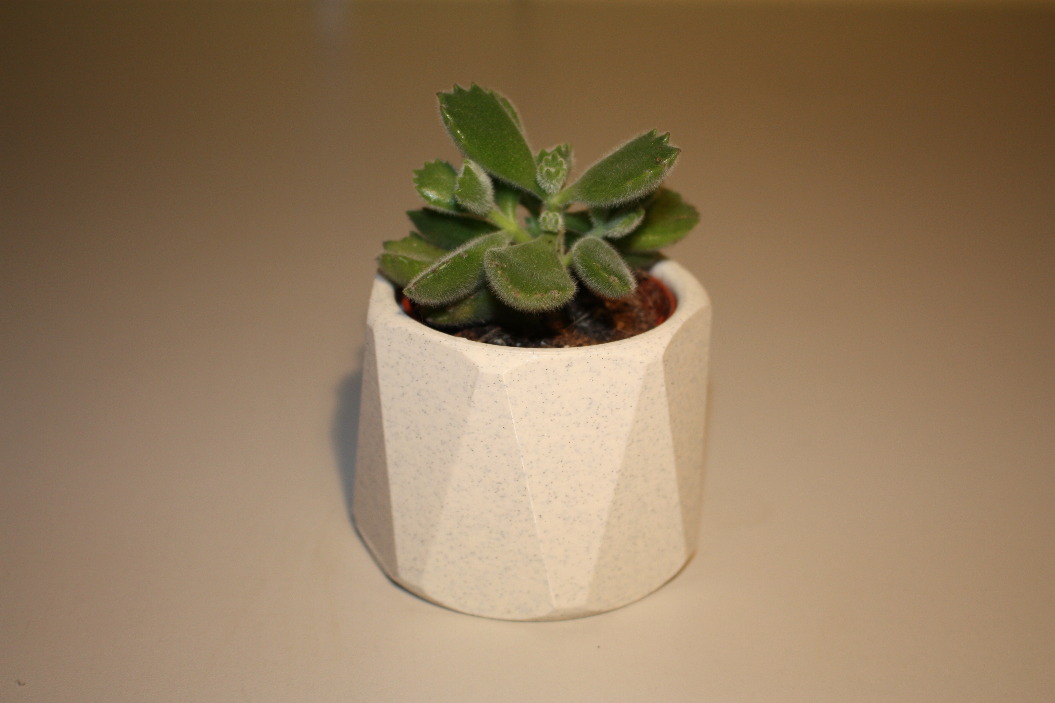Modern Planter 'line'