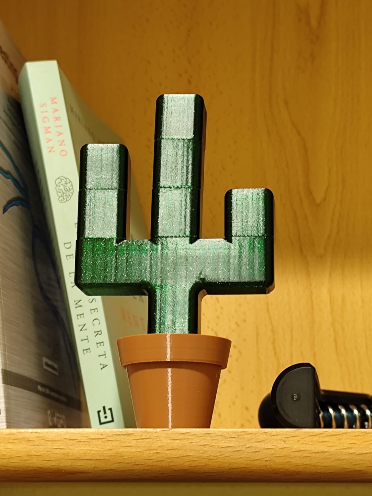Cactus