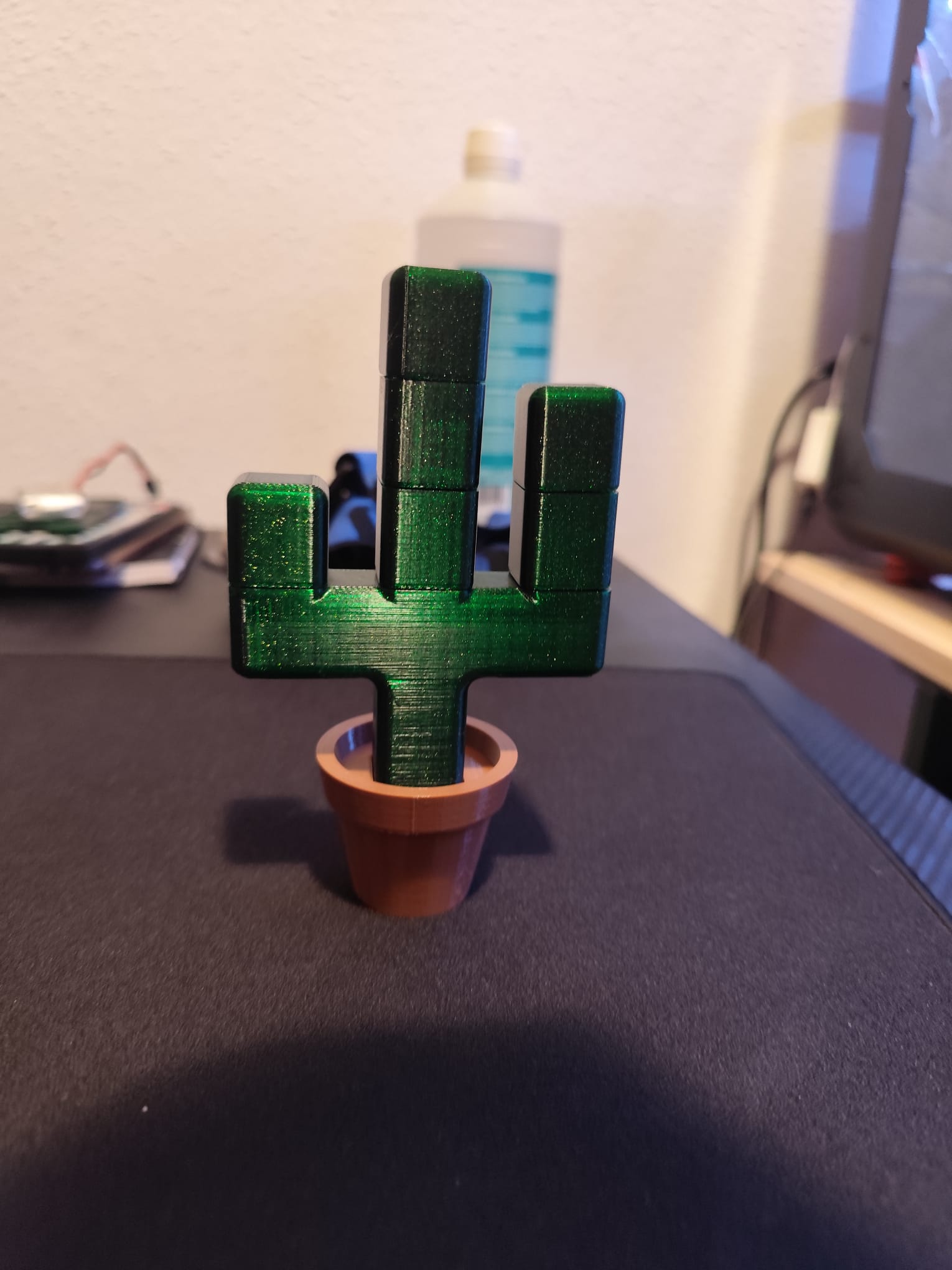 Cactus — miniatura 2