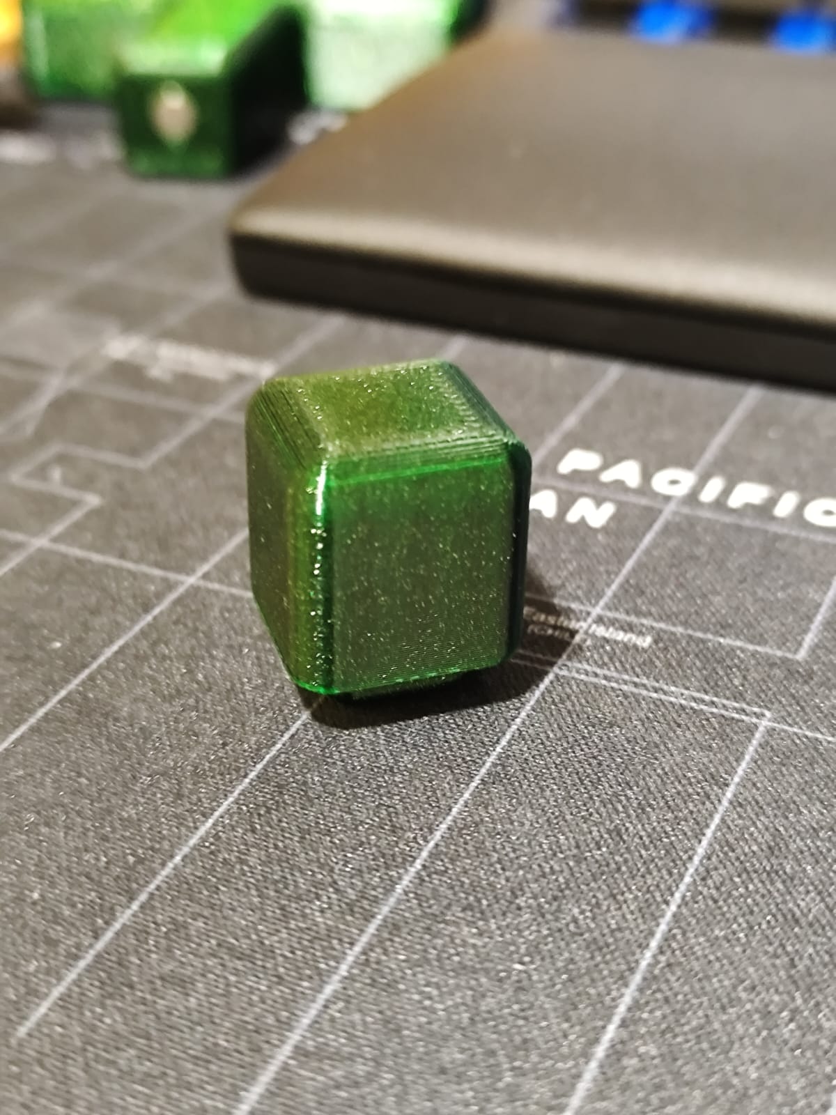 Cactus — miniatura 5