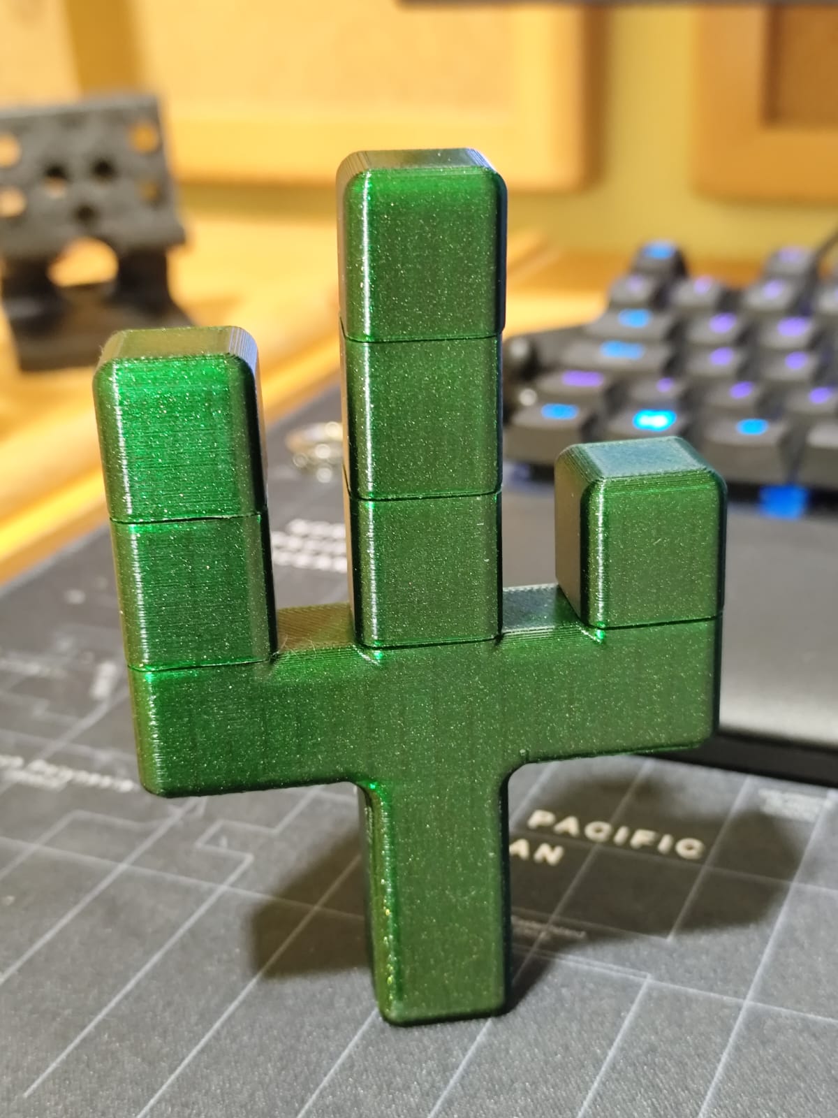 Cactus — miniatura 3