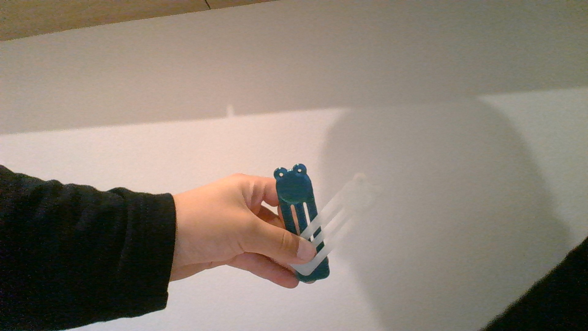frog bookmark