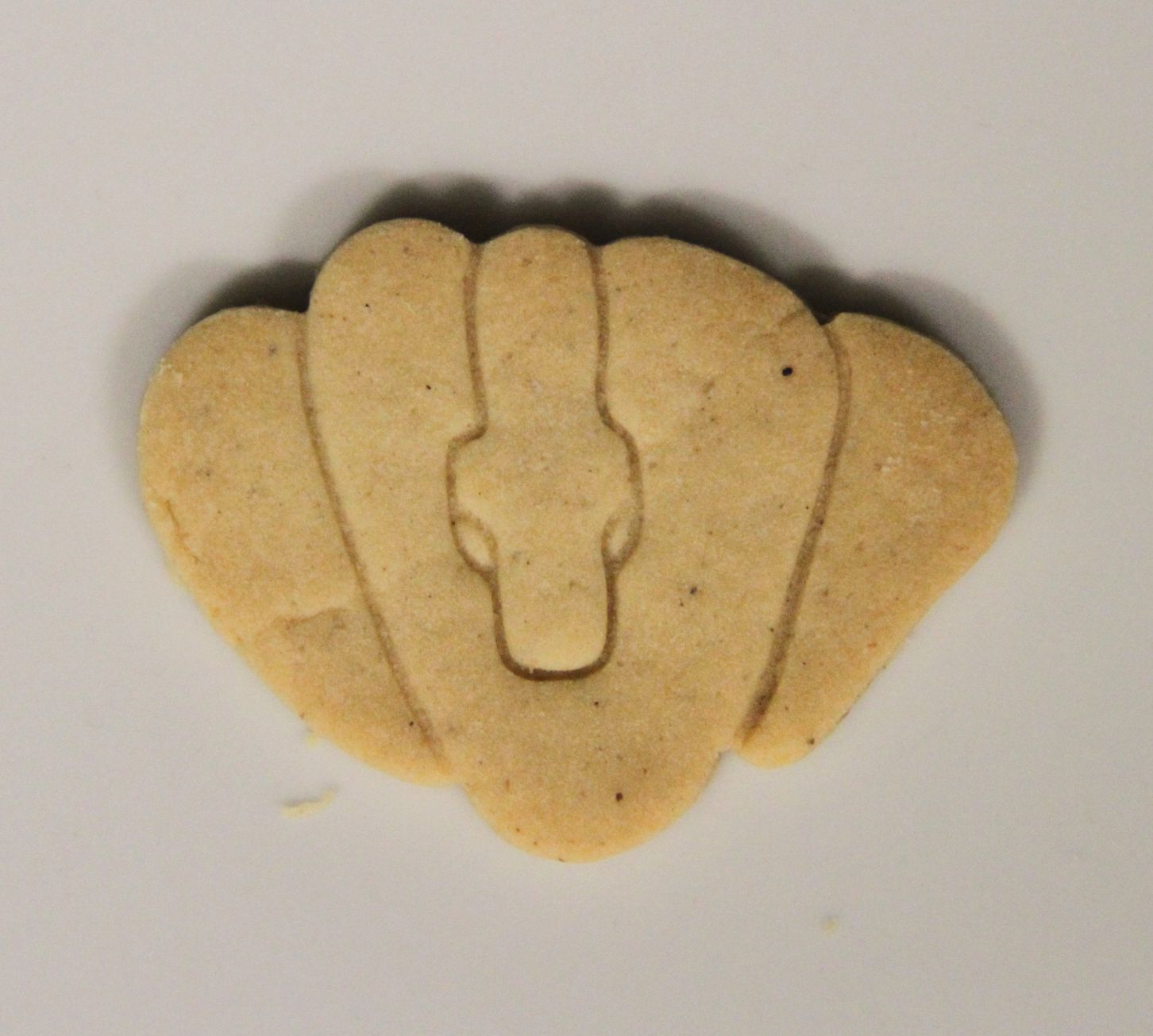 Cookie cutter green tree python