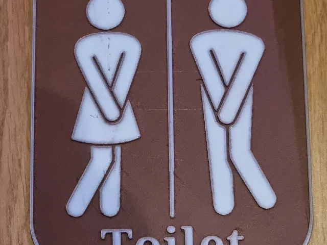 Skibidi Toilet