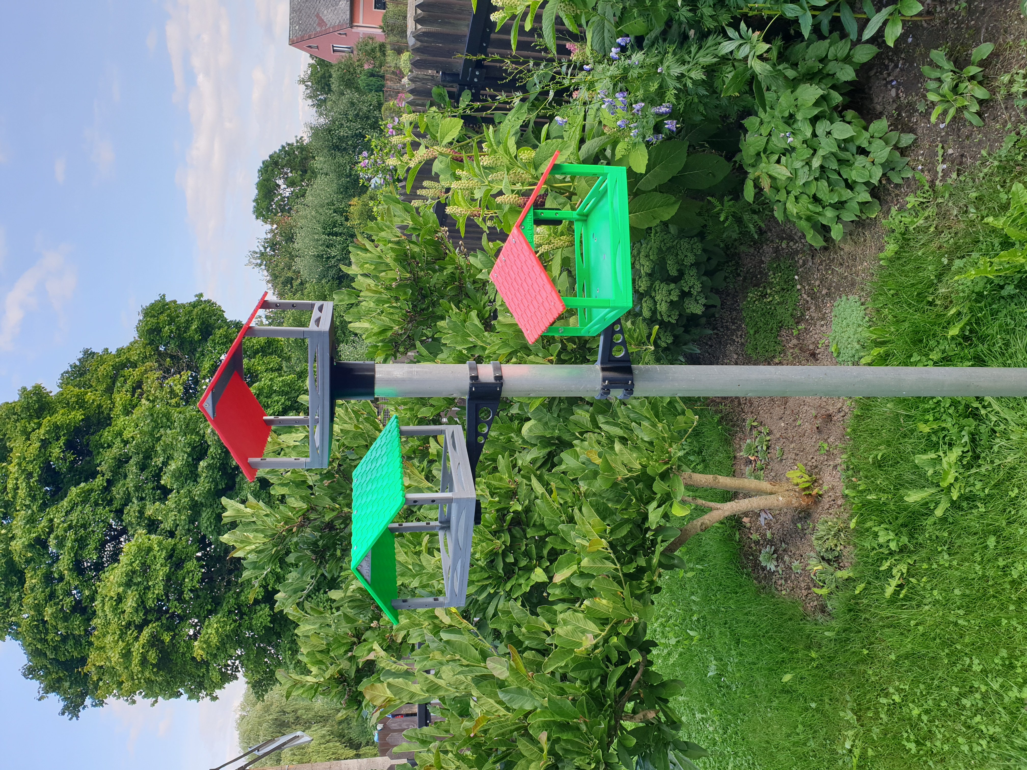 Birdfeeder Bird Buffet
