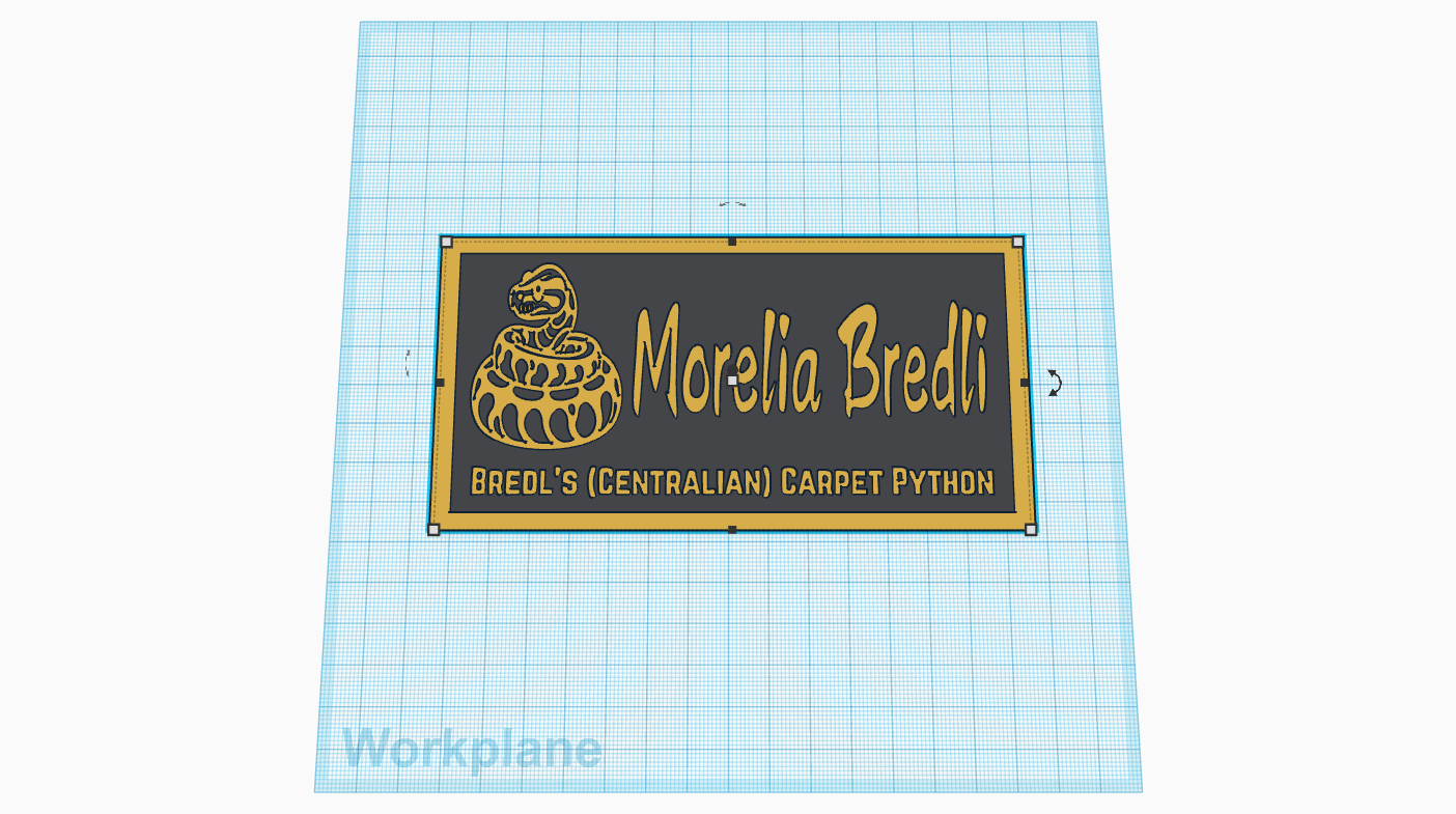 Centralian Carpet Python (Morelia Bredli) Species ID Sign