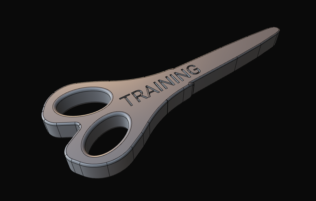 Defensive Tactics Training scissors