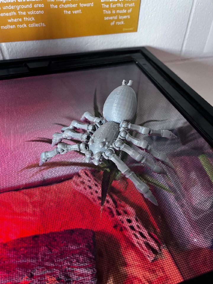 3D Top Mafsal Örümcek (Sadece Plastik Aparattır!!!)