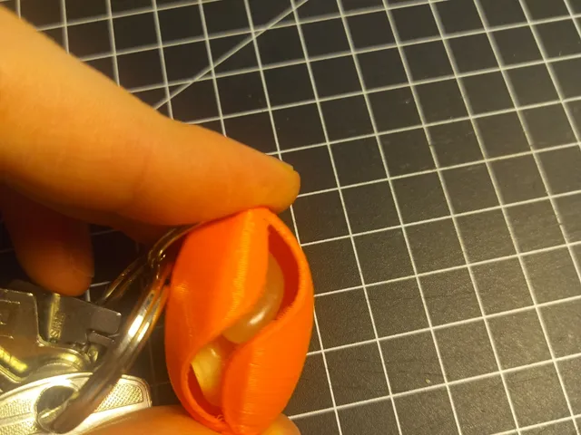 Case for custom hearing protection / ear plugs
