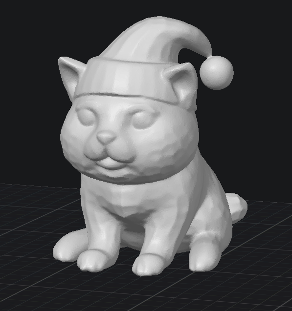 Cat wearing a santa hat