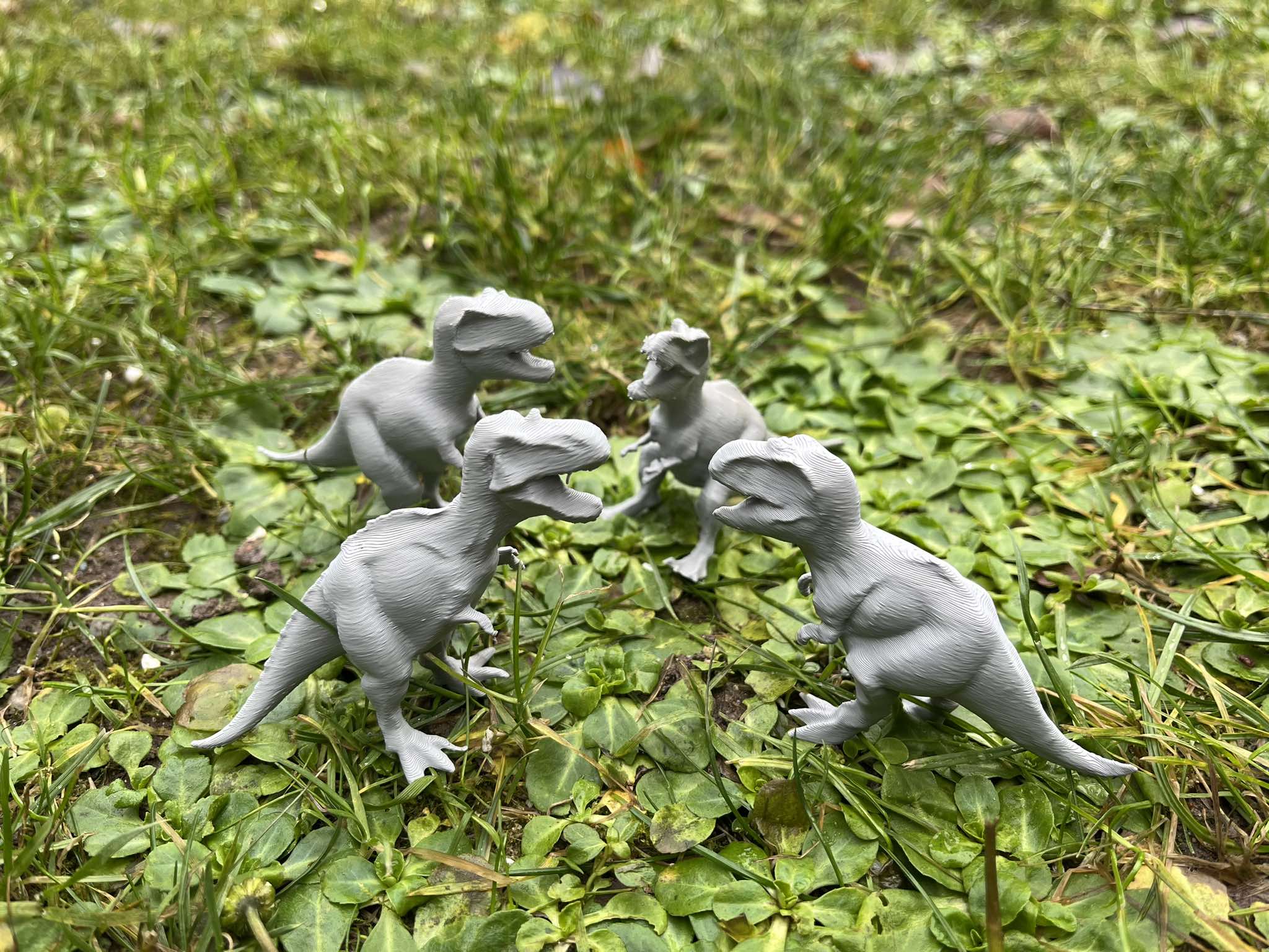 Tyrannosaurus dinosaur