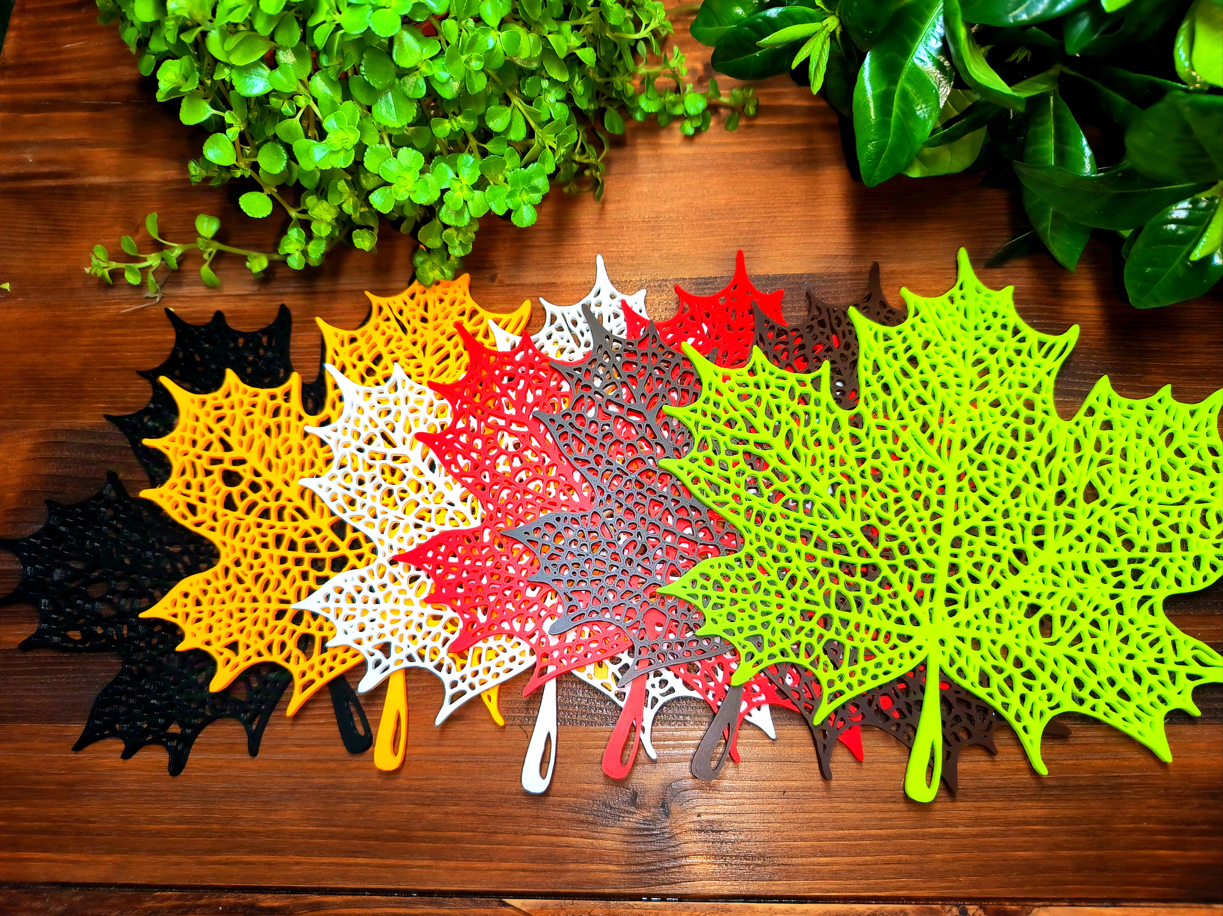 Voronoi Maple Leaf