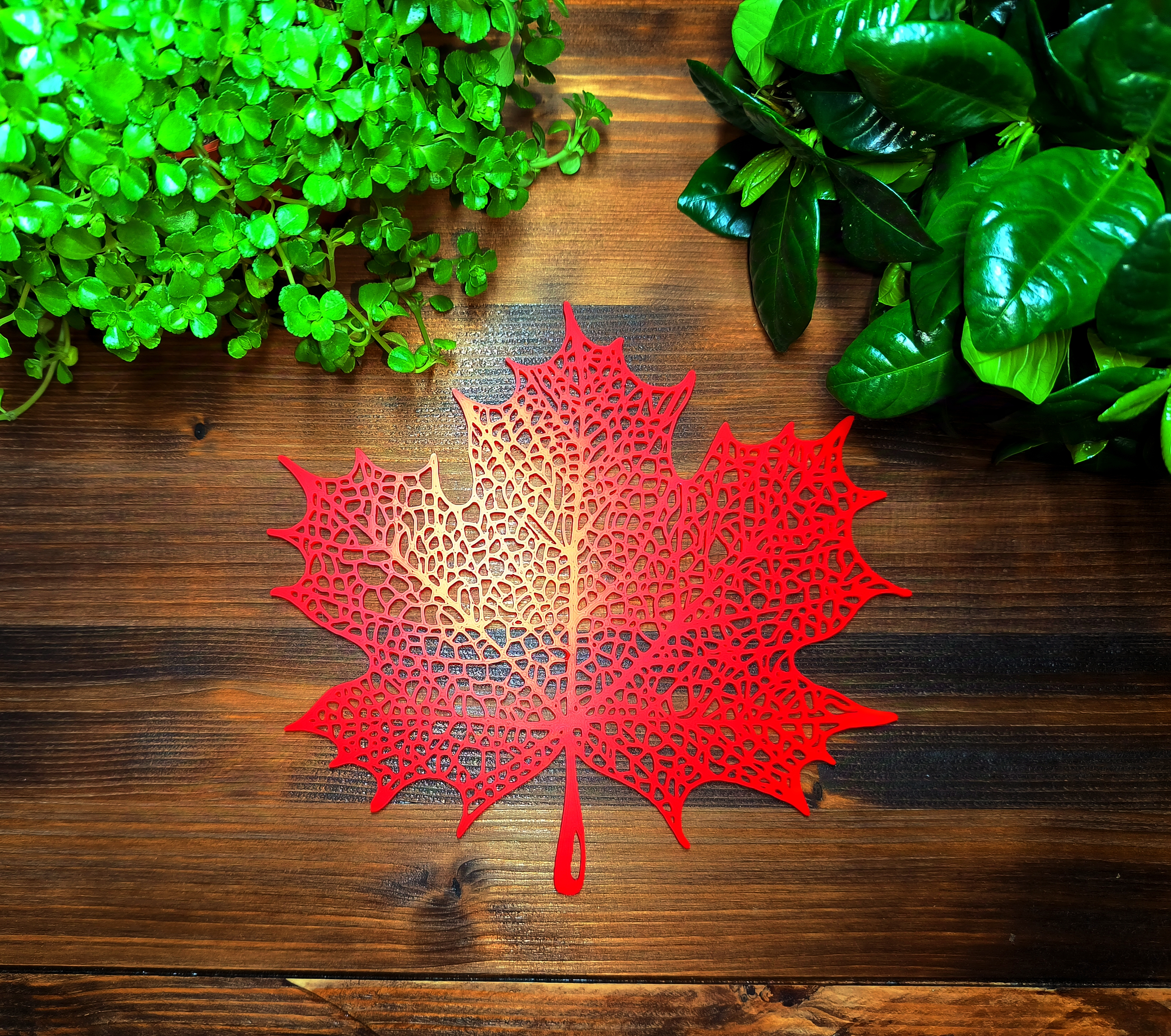 Miniatura 4 do modelo 3D Voronoi Maple Leaf