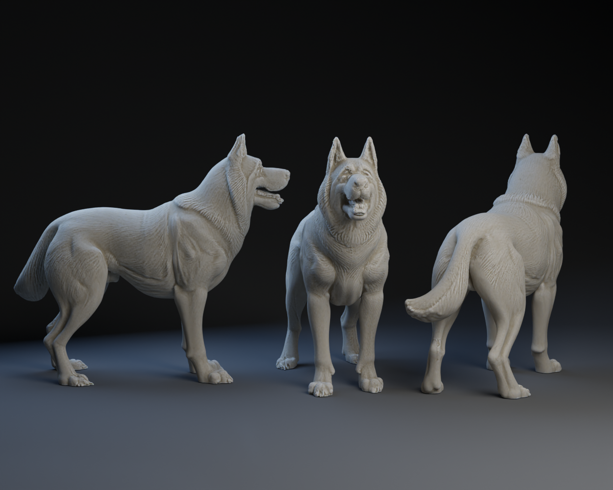 Montenegrin Mountain Hound