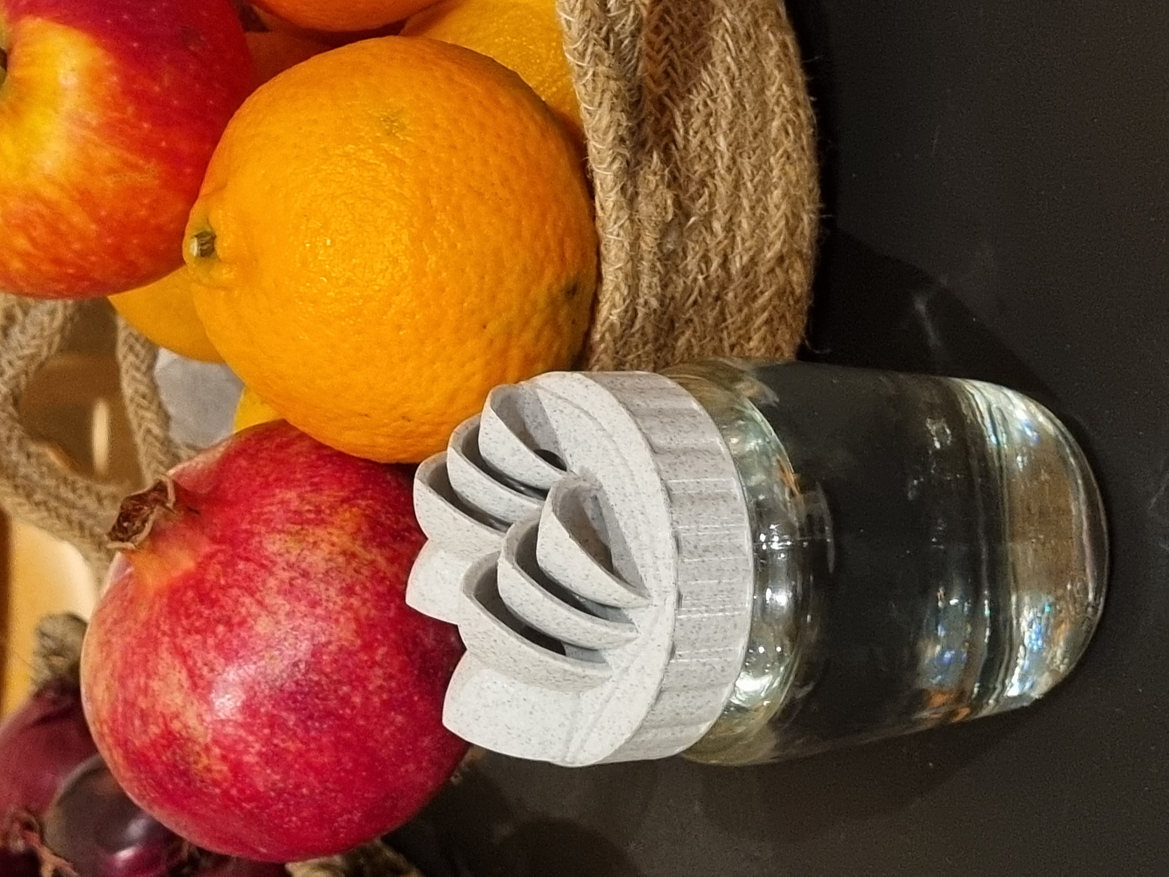 Miniatura 2 do modelo 3D Opera Fruit Fly Trap