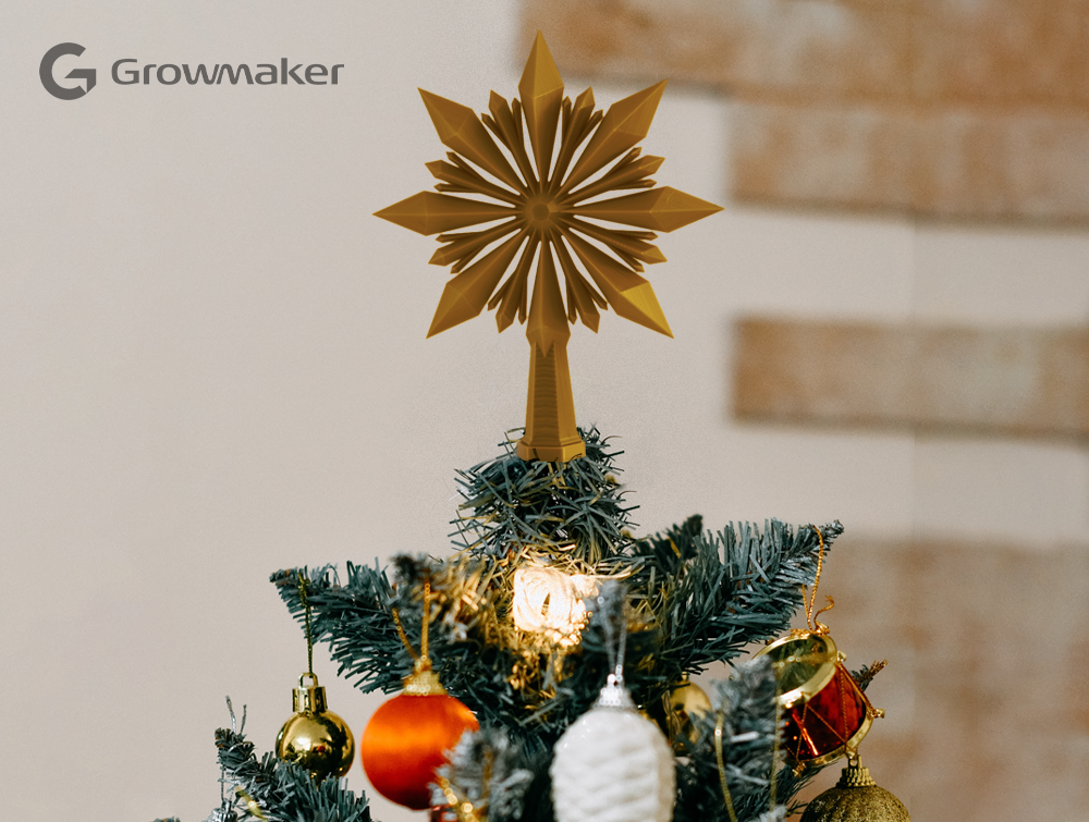 Christmas Tree Star Topper
