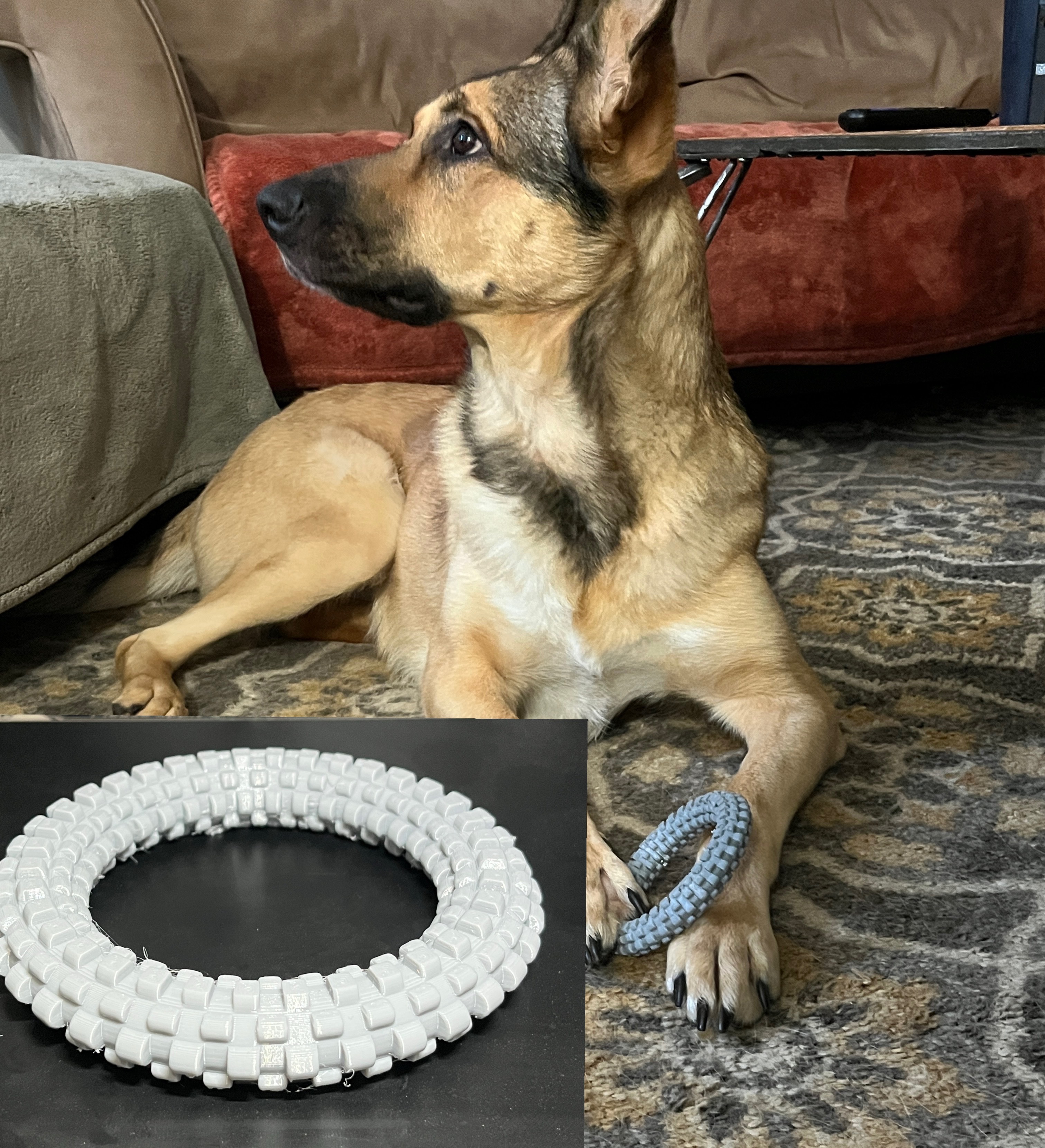 Dog TPU Ring Toy - German Shepard Approved