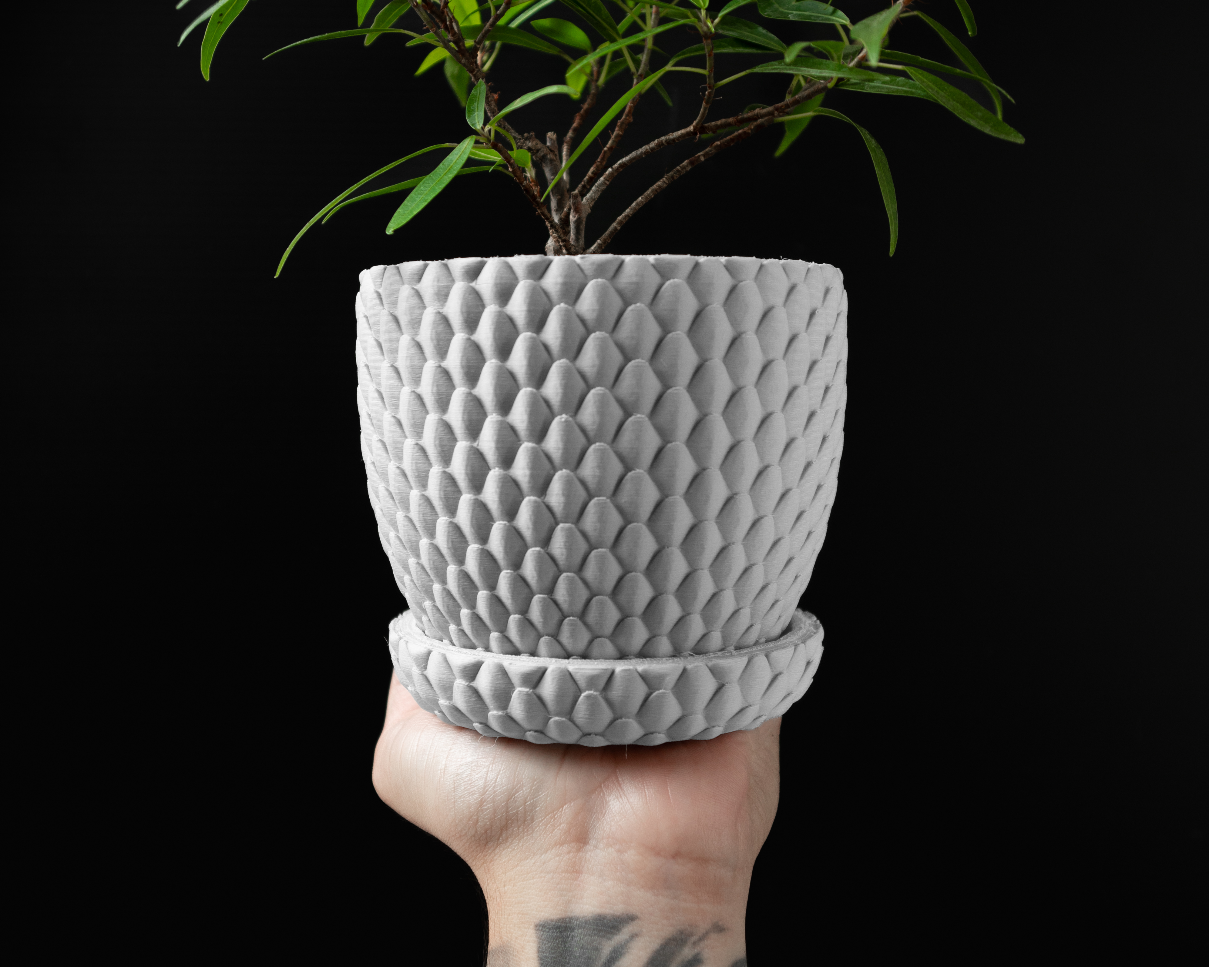 Dragonscale Planter Pot 01 by MODERN MACHINE