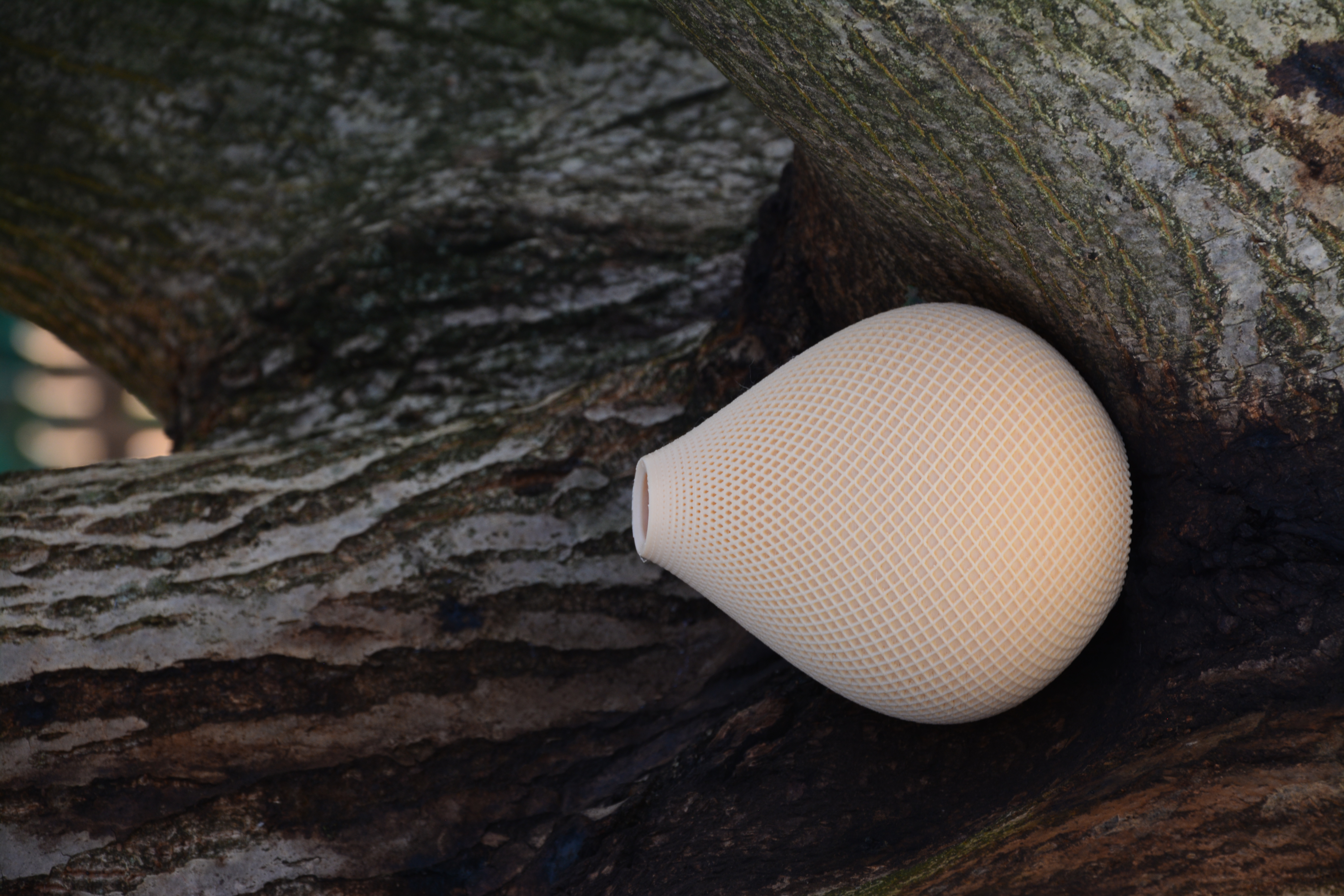 Gardenia | Modern Vase