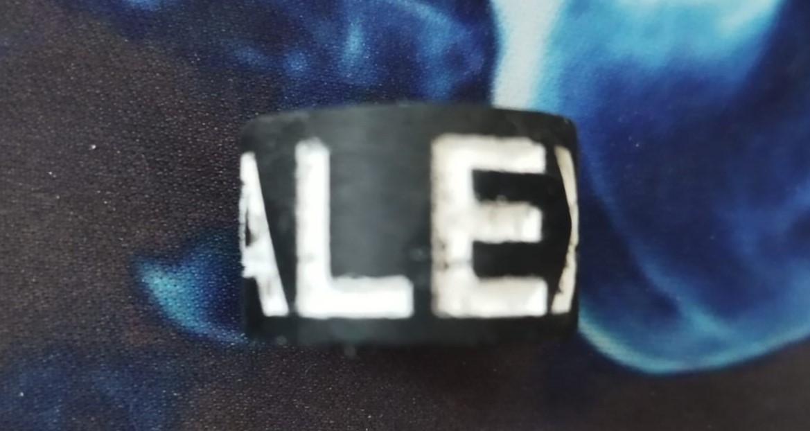 ALEX Personalized Ring