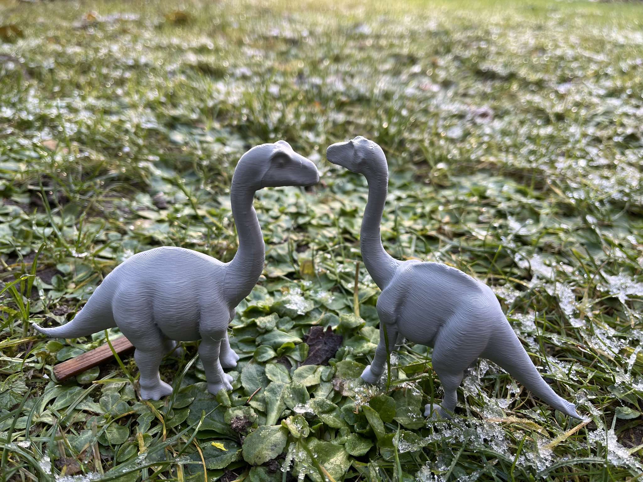 Brachiosaurus dinosaur