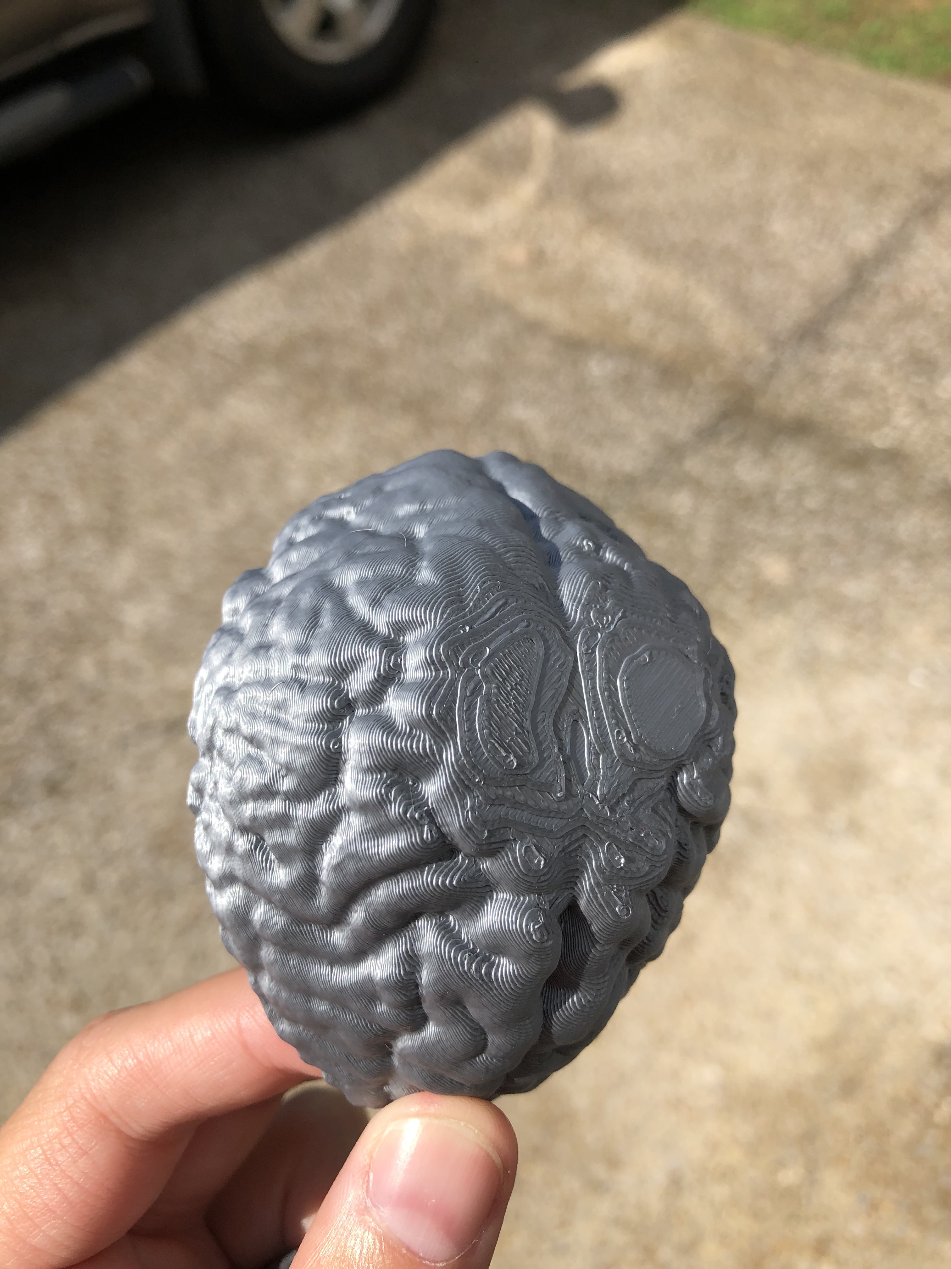 Brain Bowl — miniatura 3