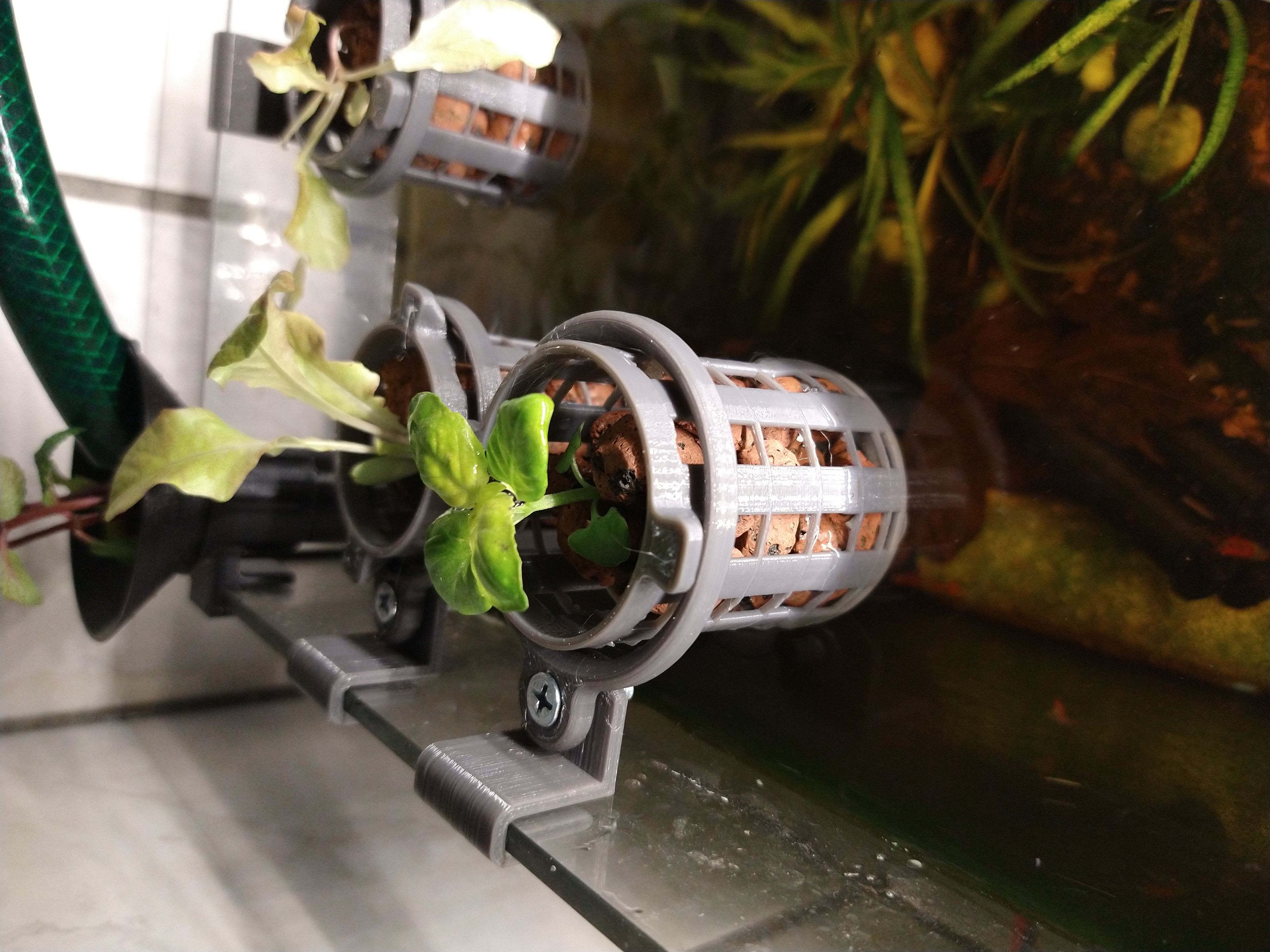 Aquarium Töpfe für Küchenkräuter