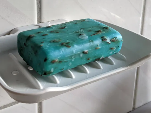 Detachable Soap Dish