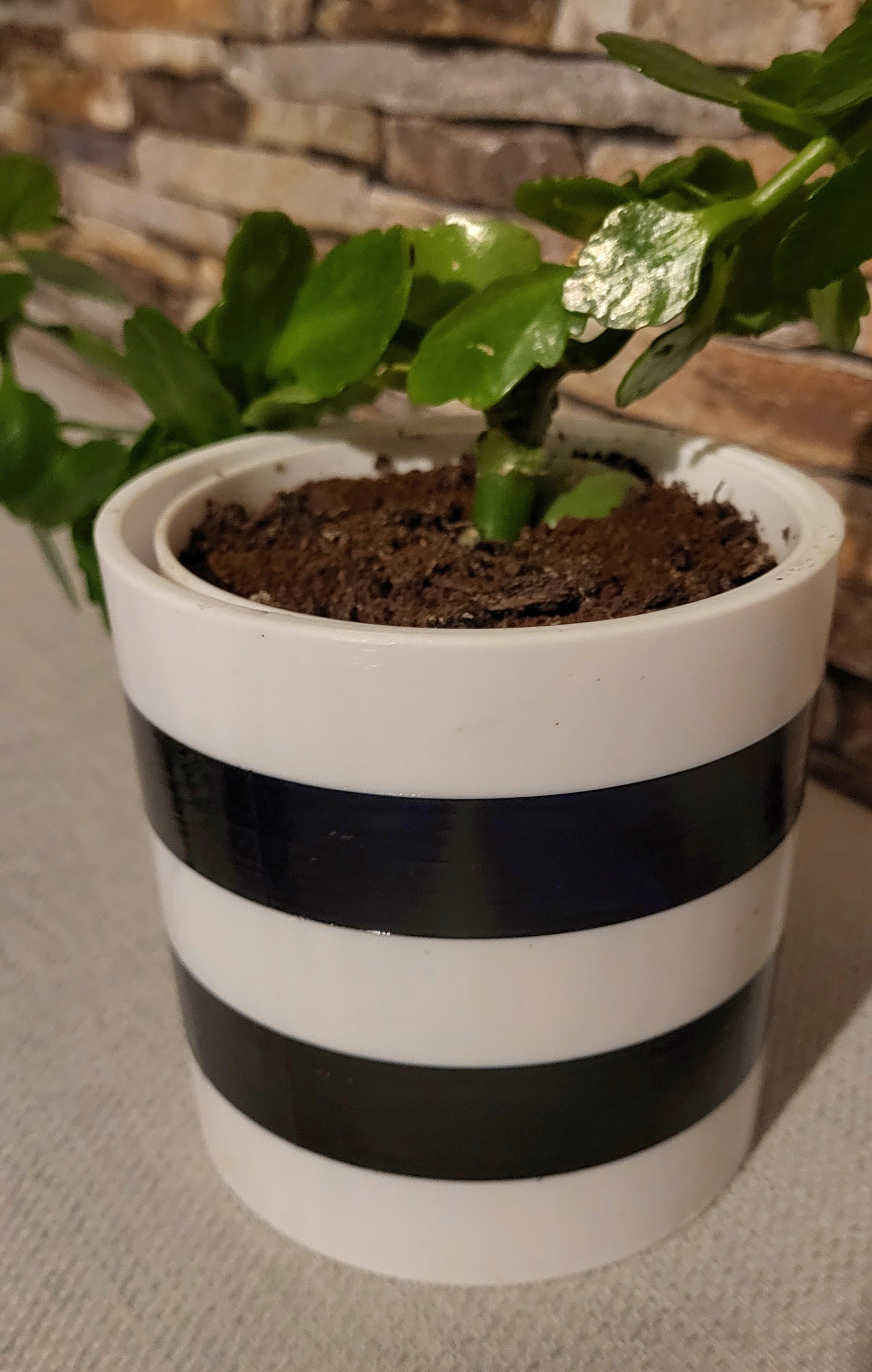 Blumentopf mit Übertopf - Flower Pot with Cover