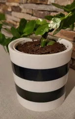 Blumentopf mit Übertopf - Flower Pot with Cover