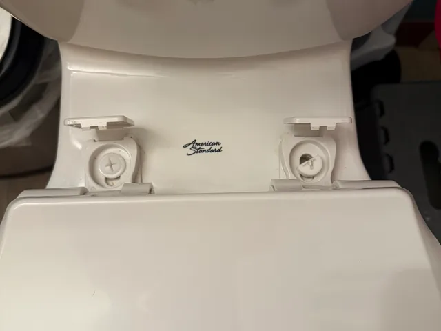 Toilet seat bolt and nut