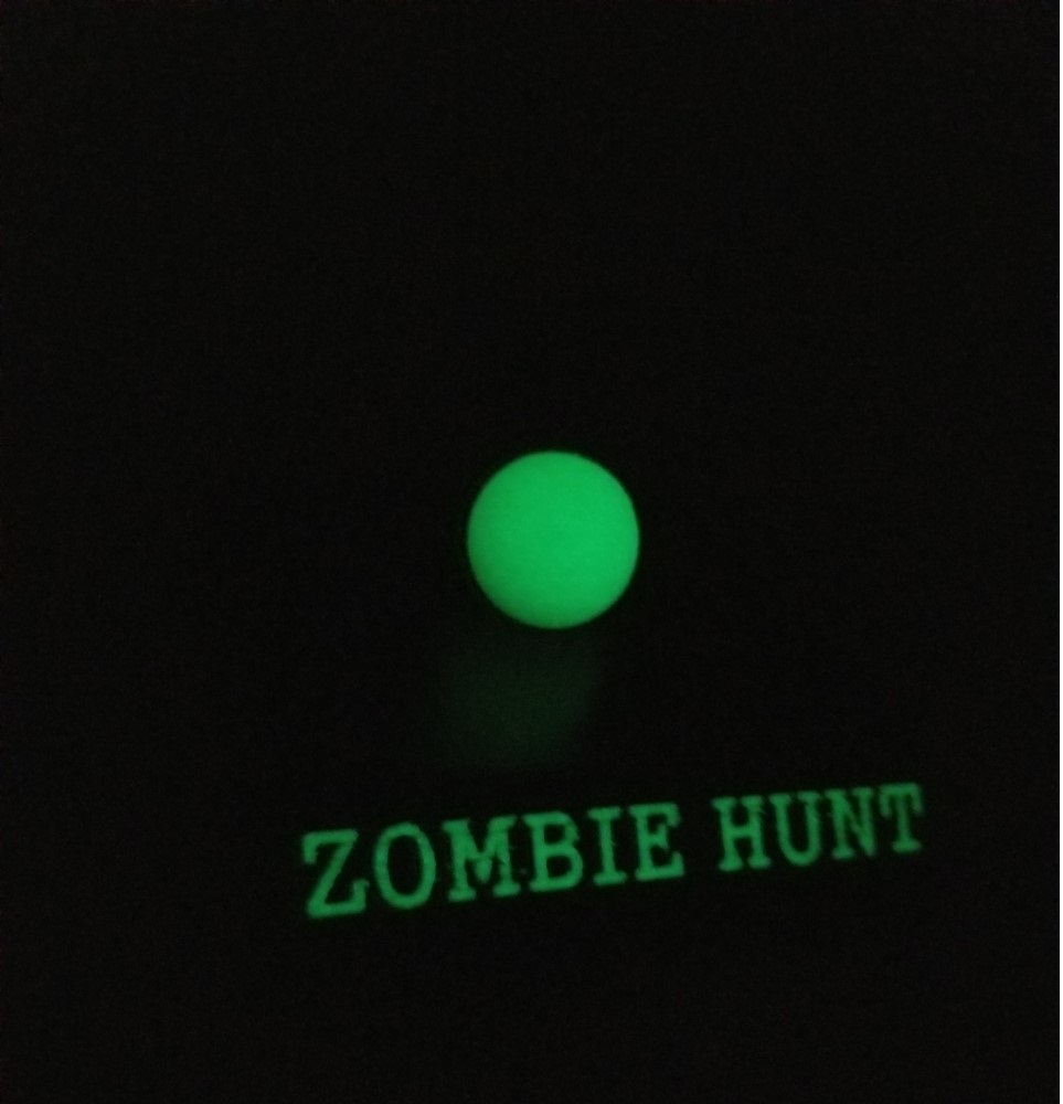 Zombie Hunt paintball Display