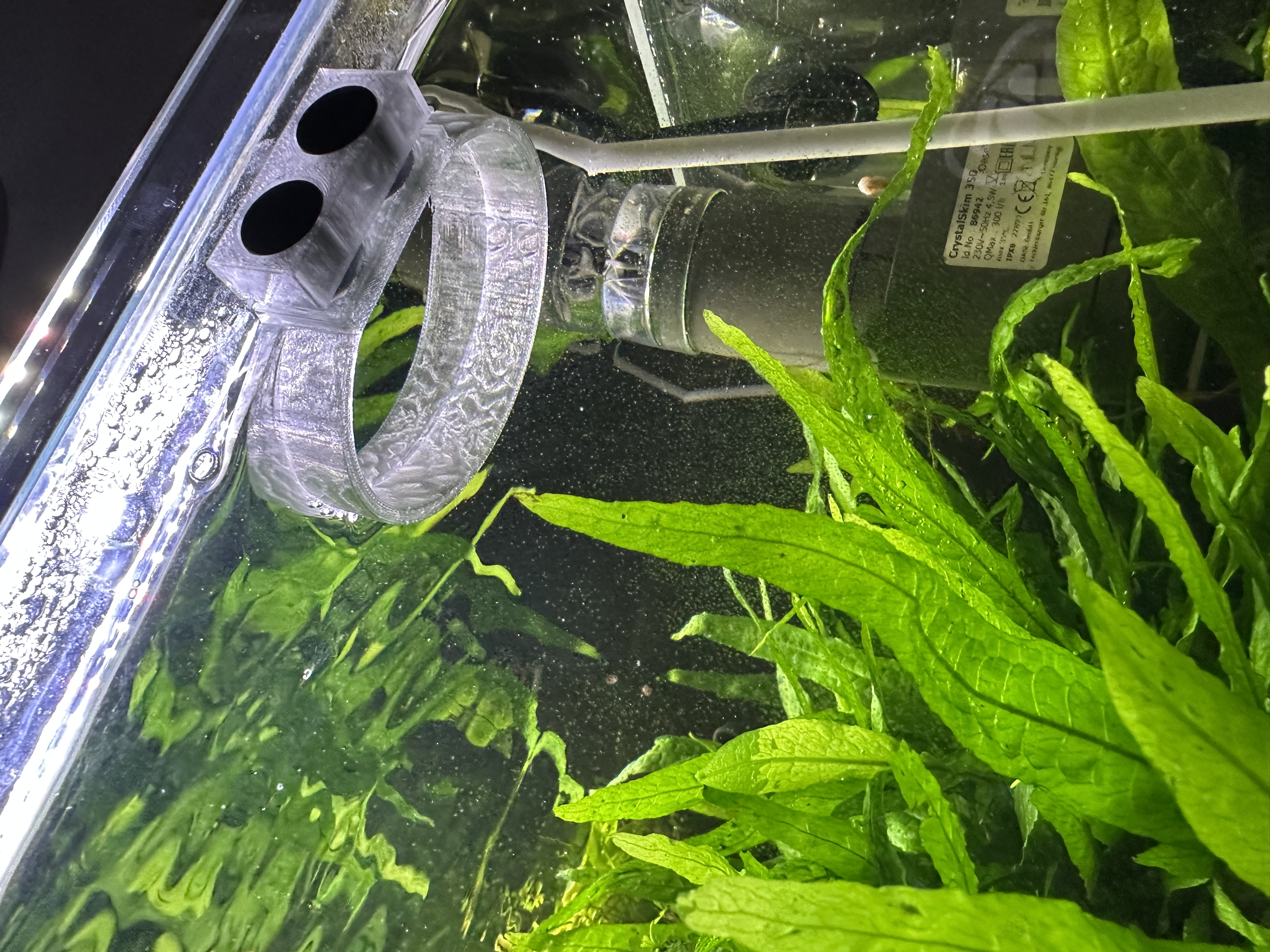 Aquarium Futterring mit Magnet-Halterung - Feeding Ring