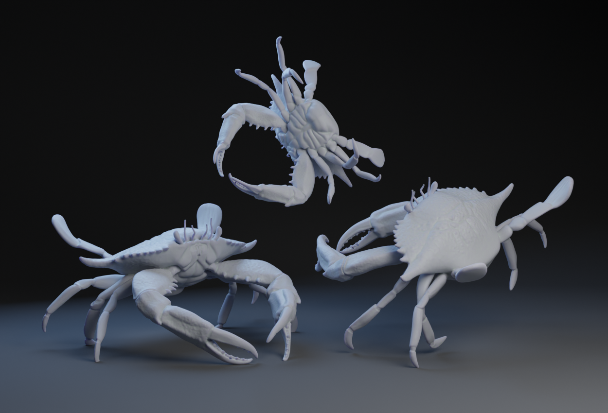 Crab