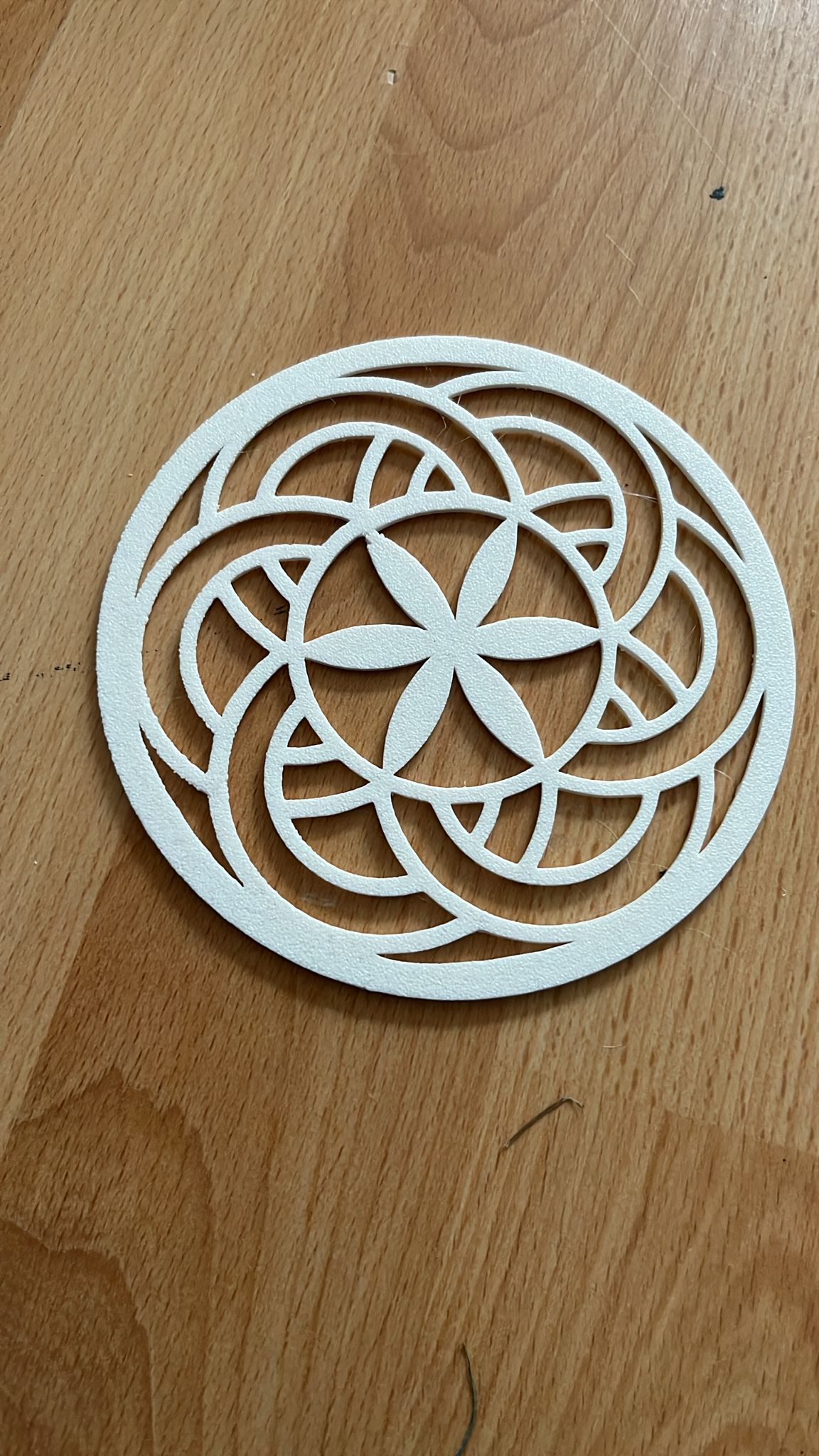 coaster 2.0 (more photos coming soon)