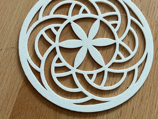 coaster 2.0 (more photos coming soon)