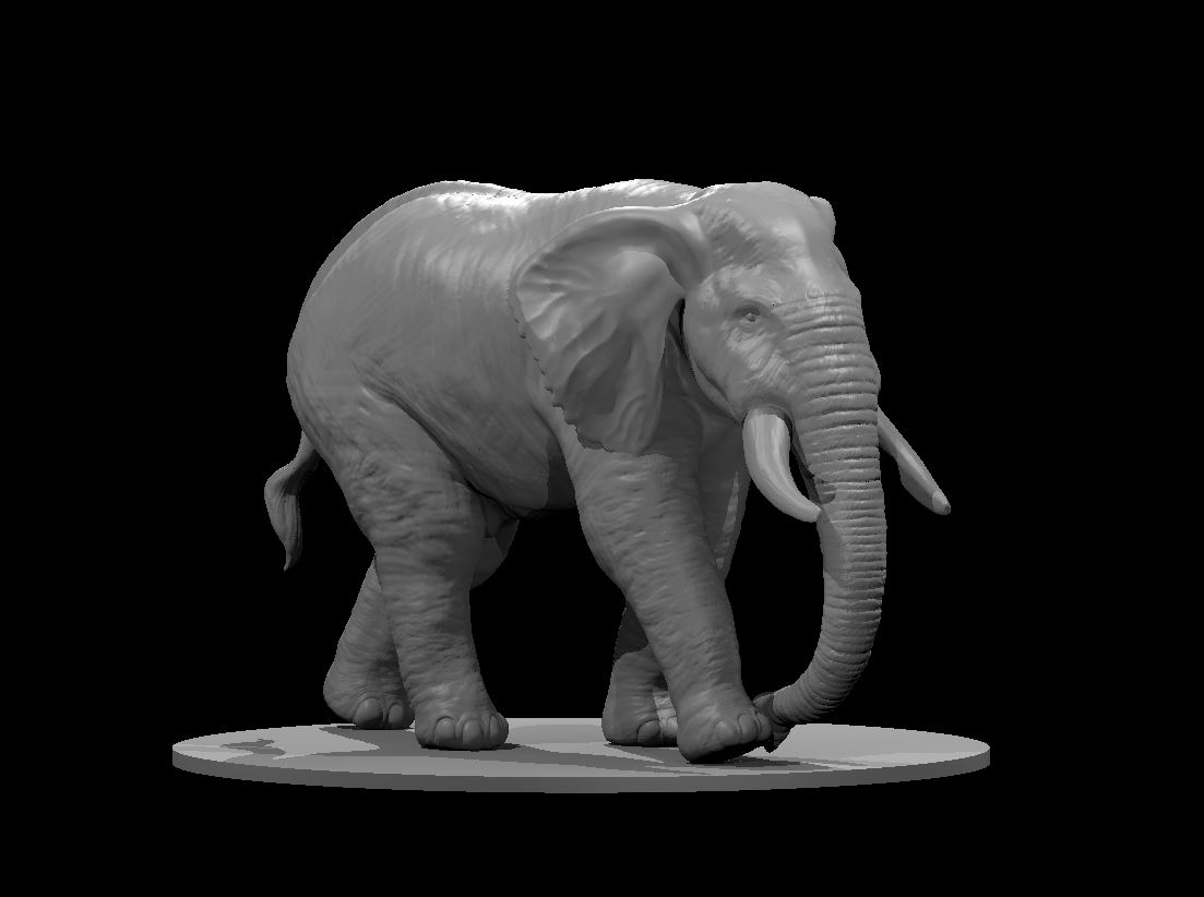 Elephant 2025
