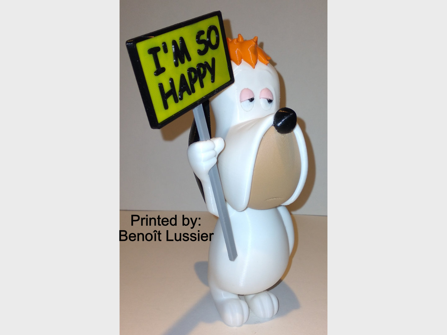 Miniatura 3 do modelo 3D Droopy Dog