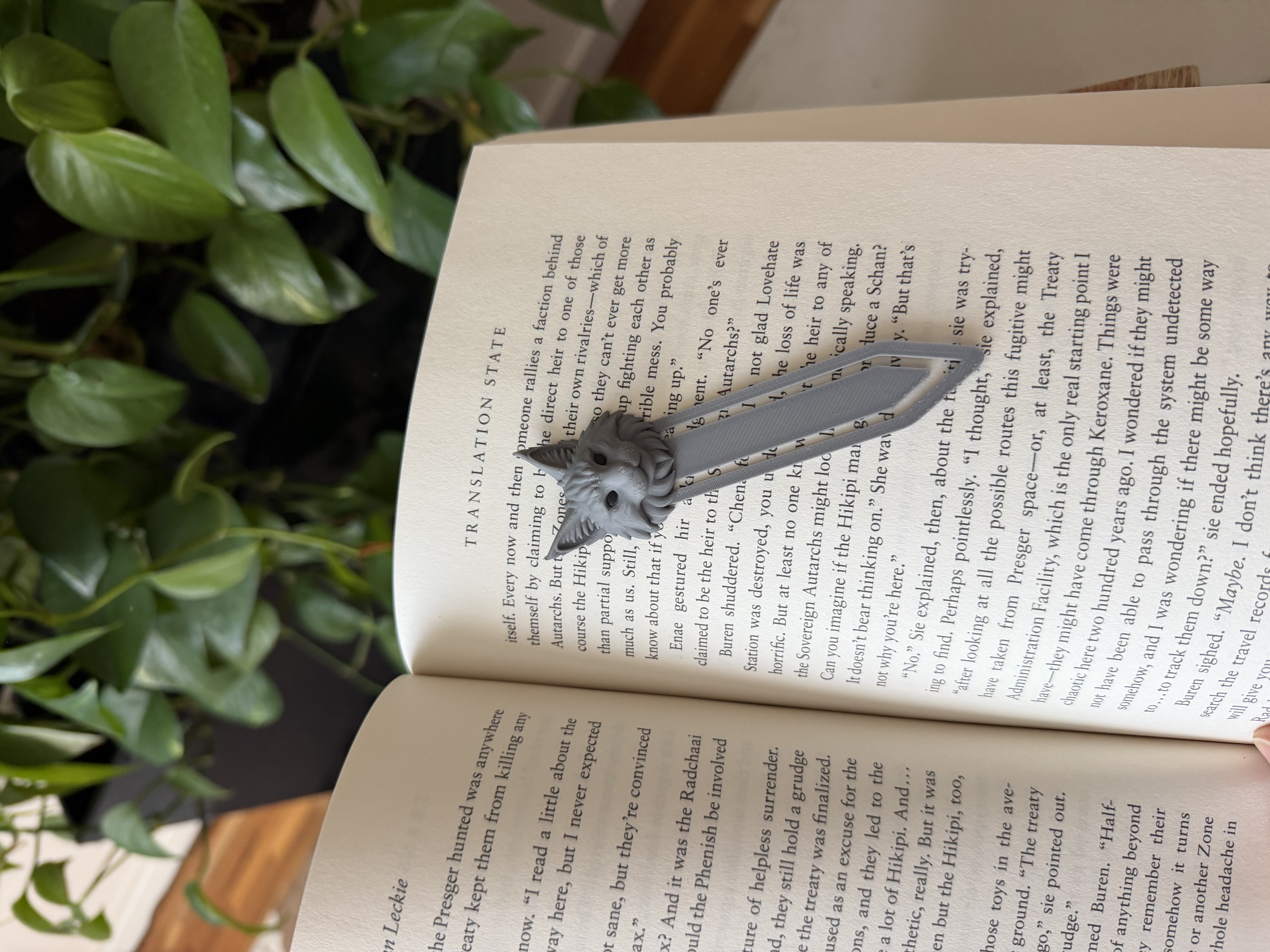 Maine coon cat bookmark