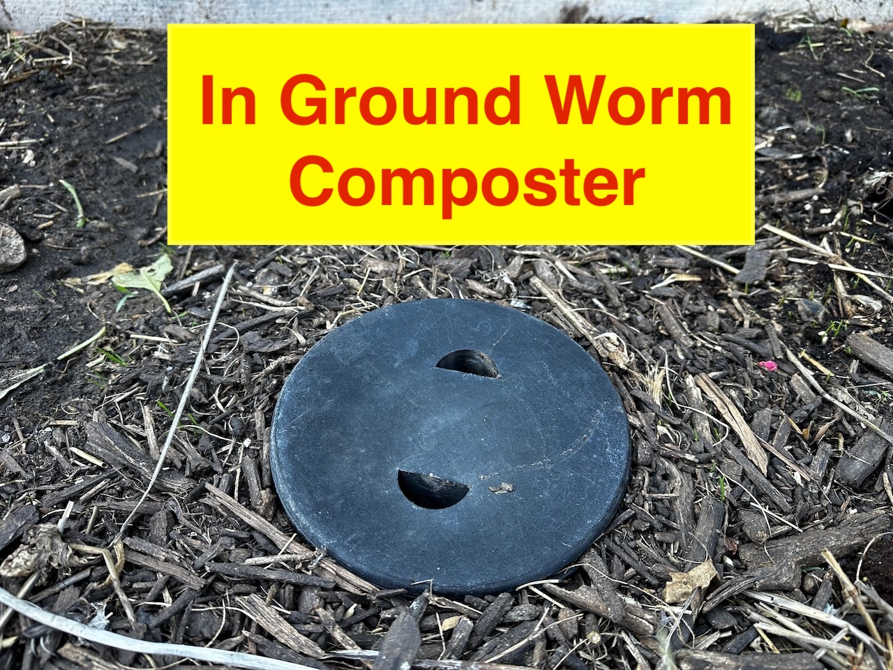 In Ground Worm Compost Bin